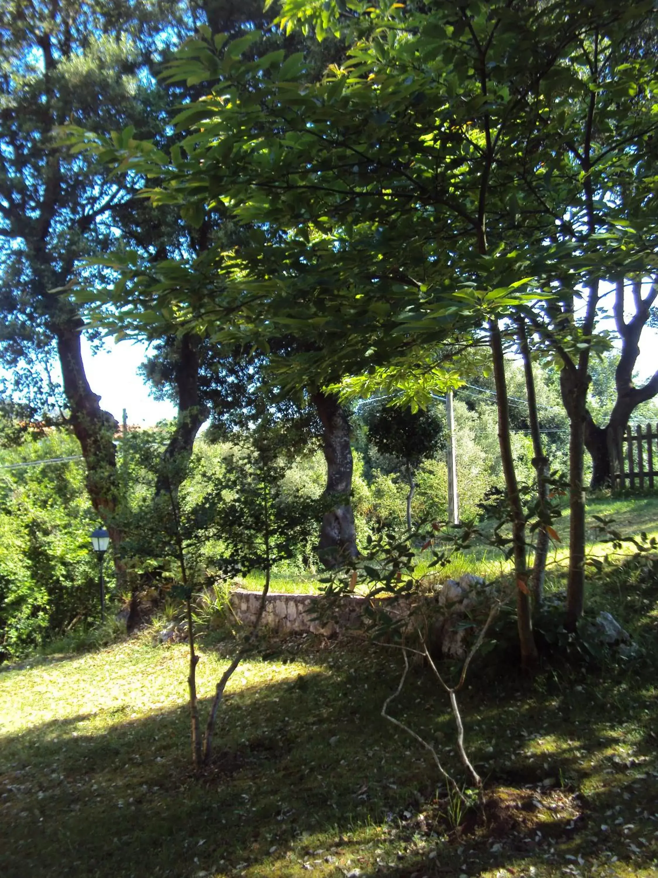 Day, Garden in La Biesca Sebreñu