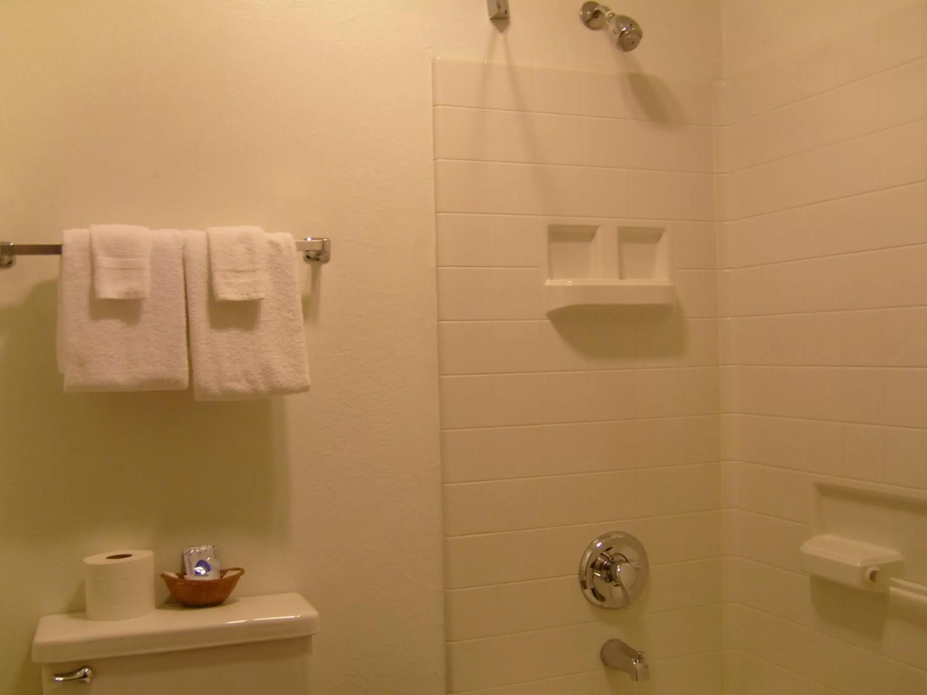 Shower, Bathroom in Shanico Inn