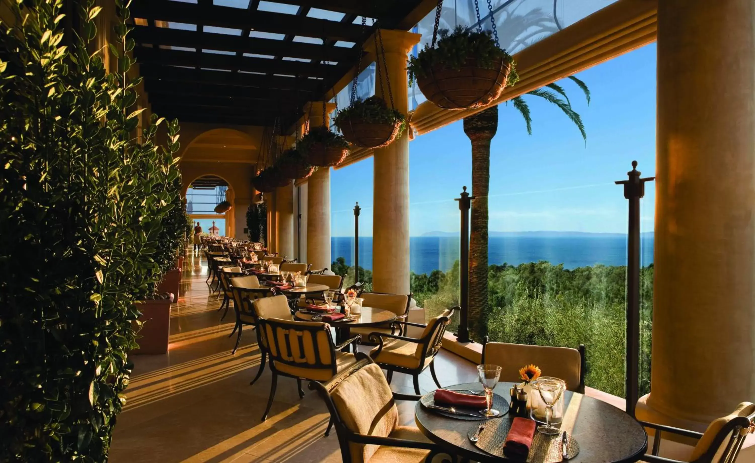 Restaurant/Places to Eat in Resort at Pelican Hill