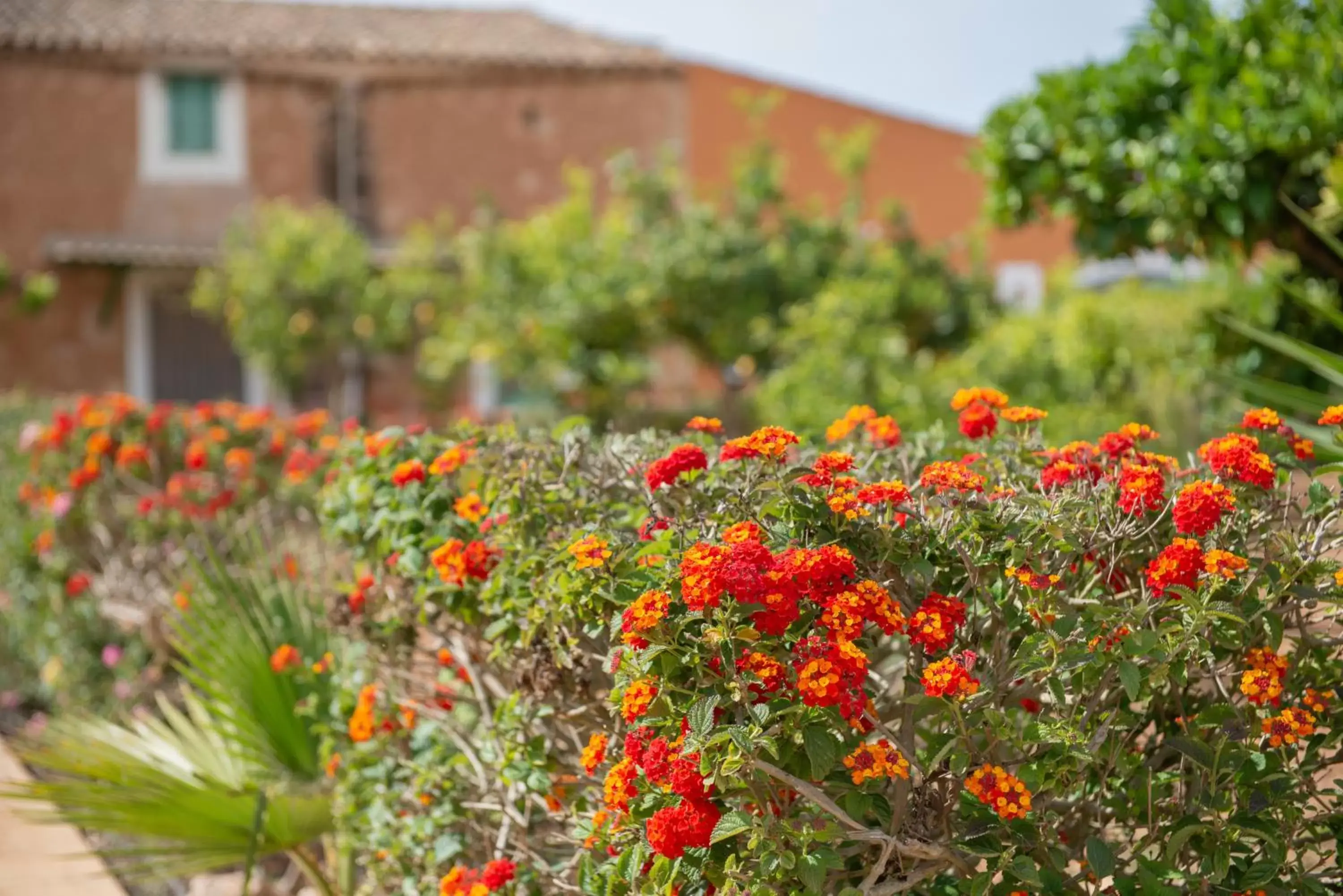 Garden in Finca Hotel Can Canals & Spa