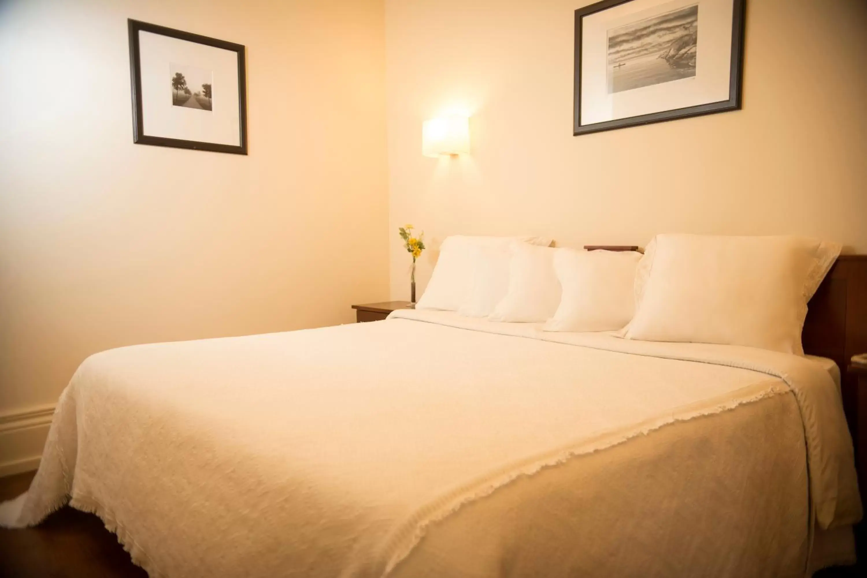 Basic King Room in Hotel Aliados Basic King Room in Hotel Aliados