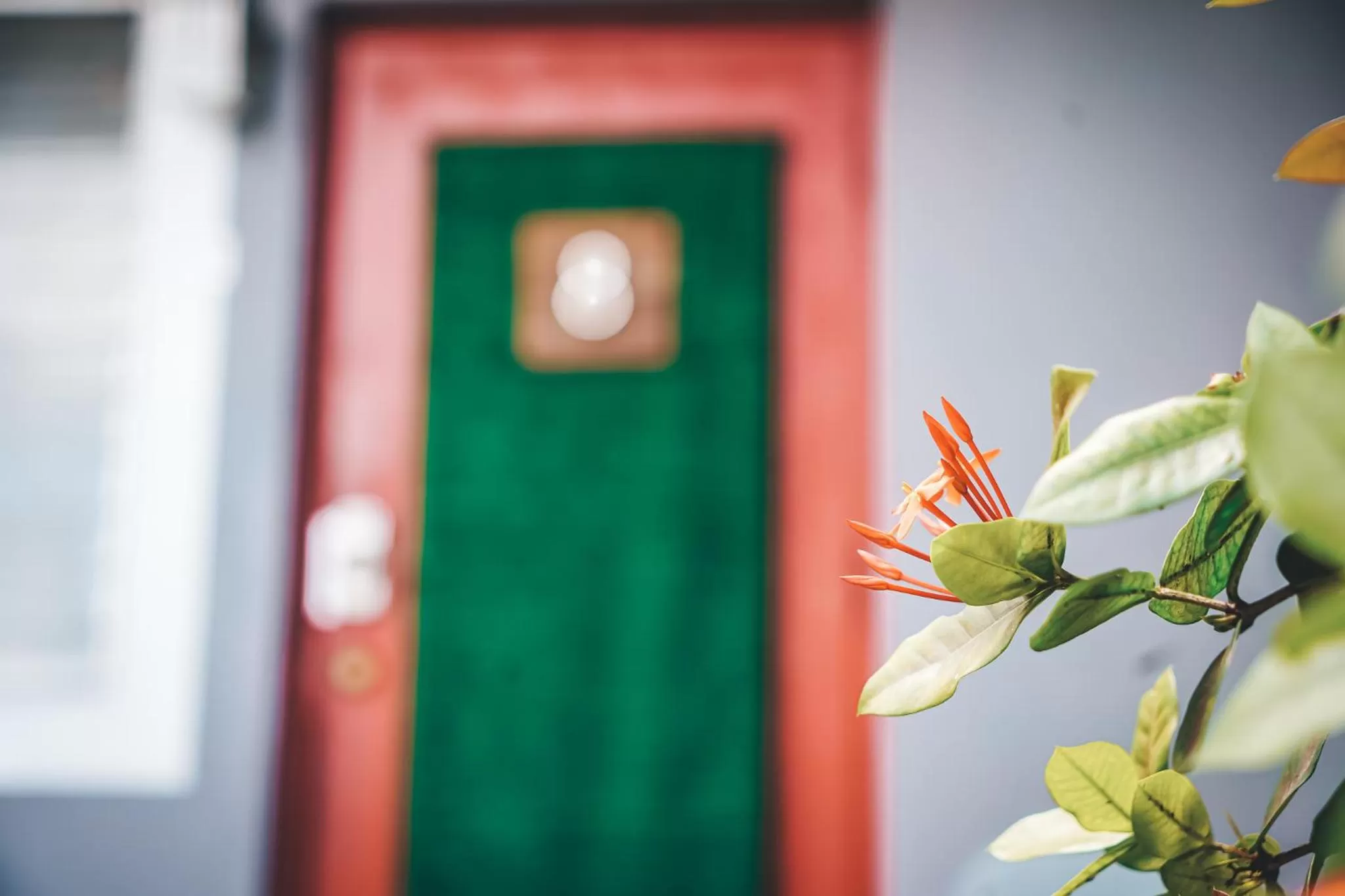 Facade/entrance in Hollywood Light Haven Lodge