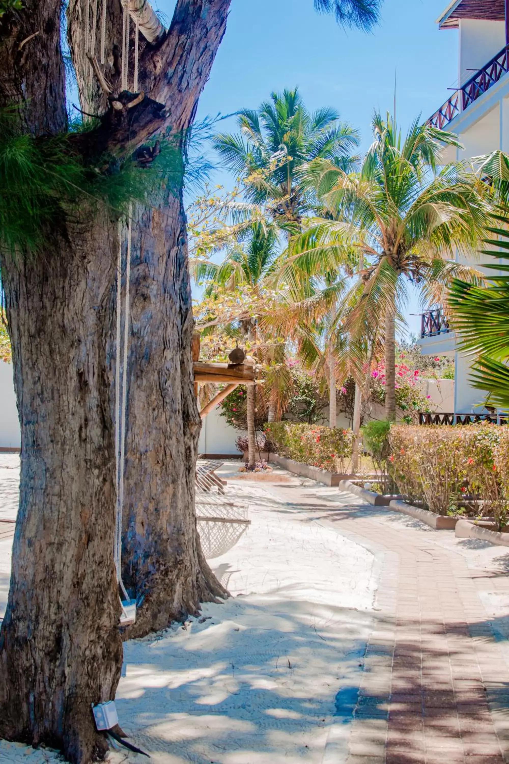 Natural landscape in Mnarani Beach Cottages