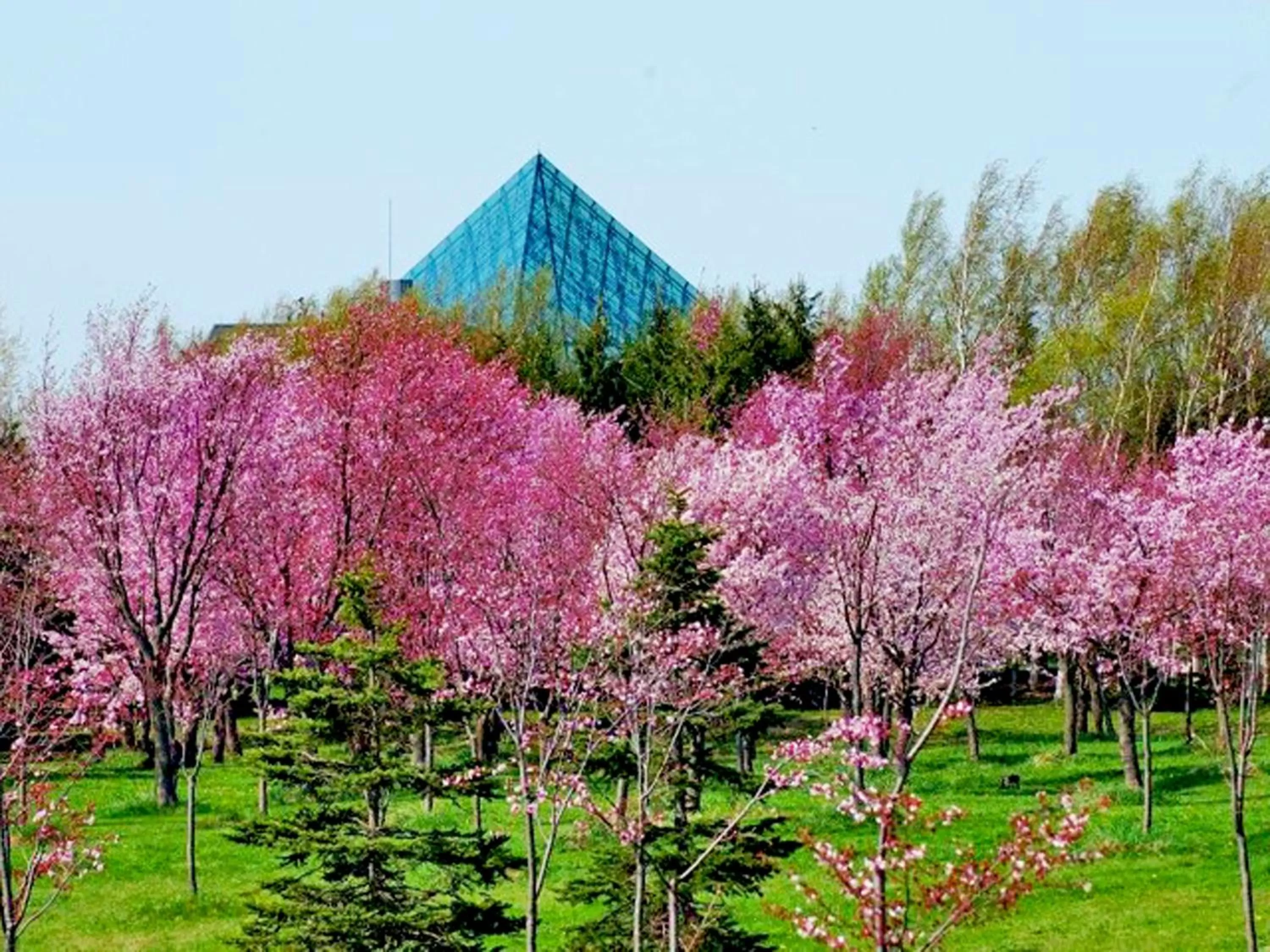 Area and facilities in Century Royal Hotel Sapporo