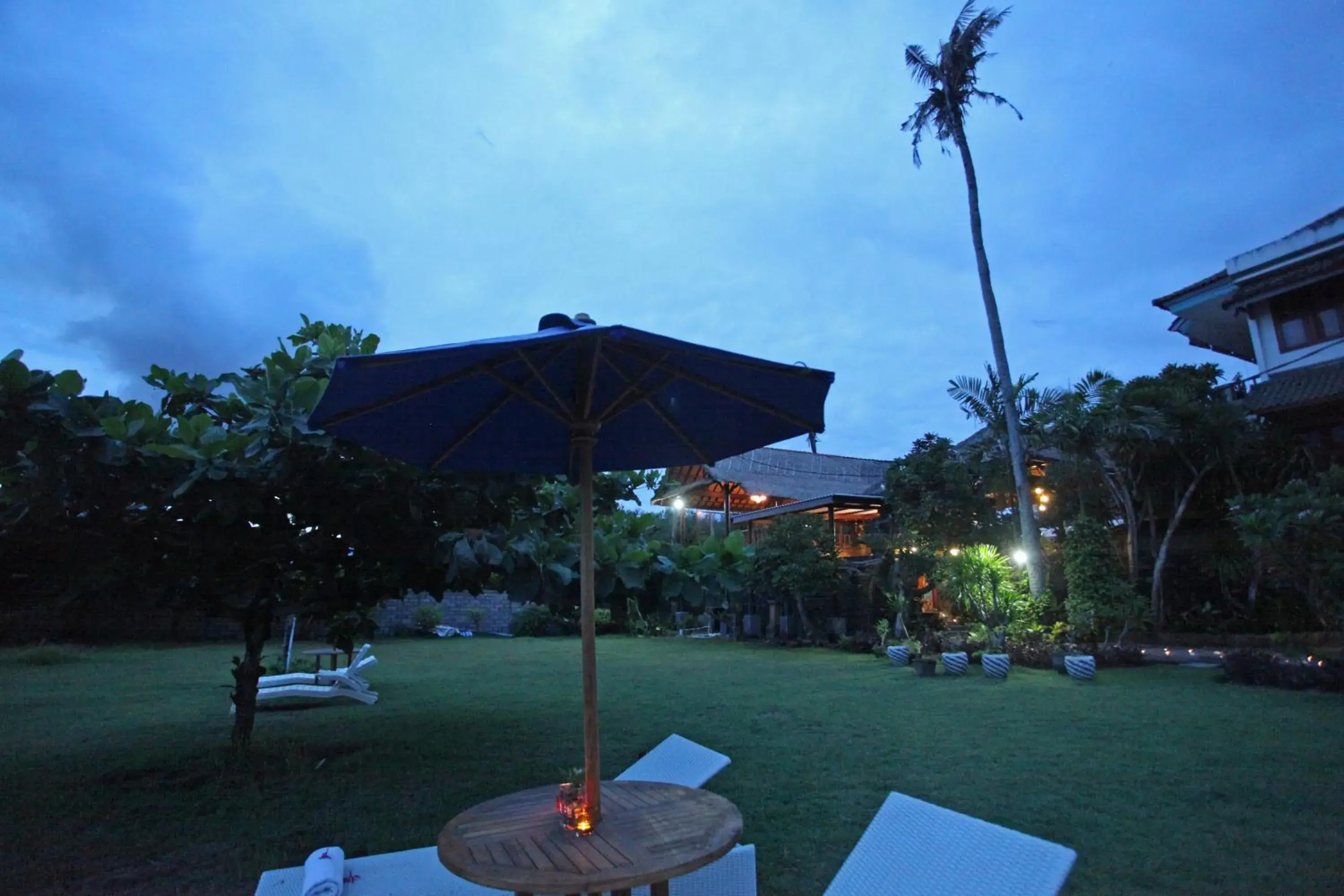 Garden in Sanur Seaview Hotel