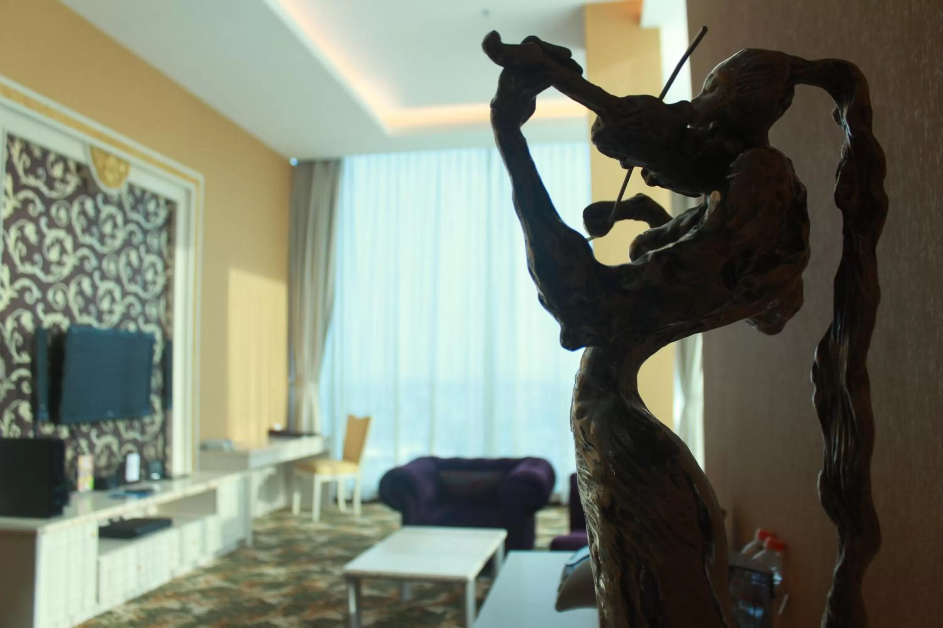 TV and multimedia in Grand Artos Hotel & Convention