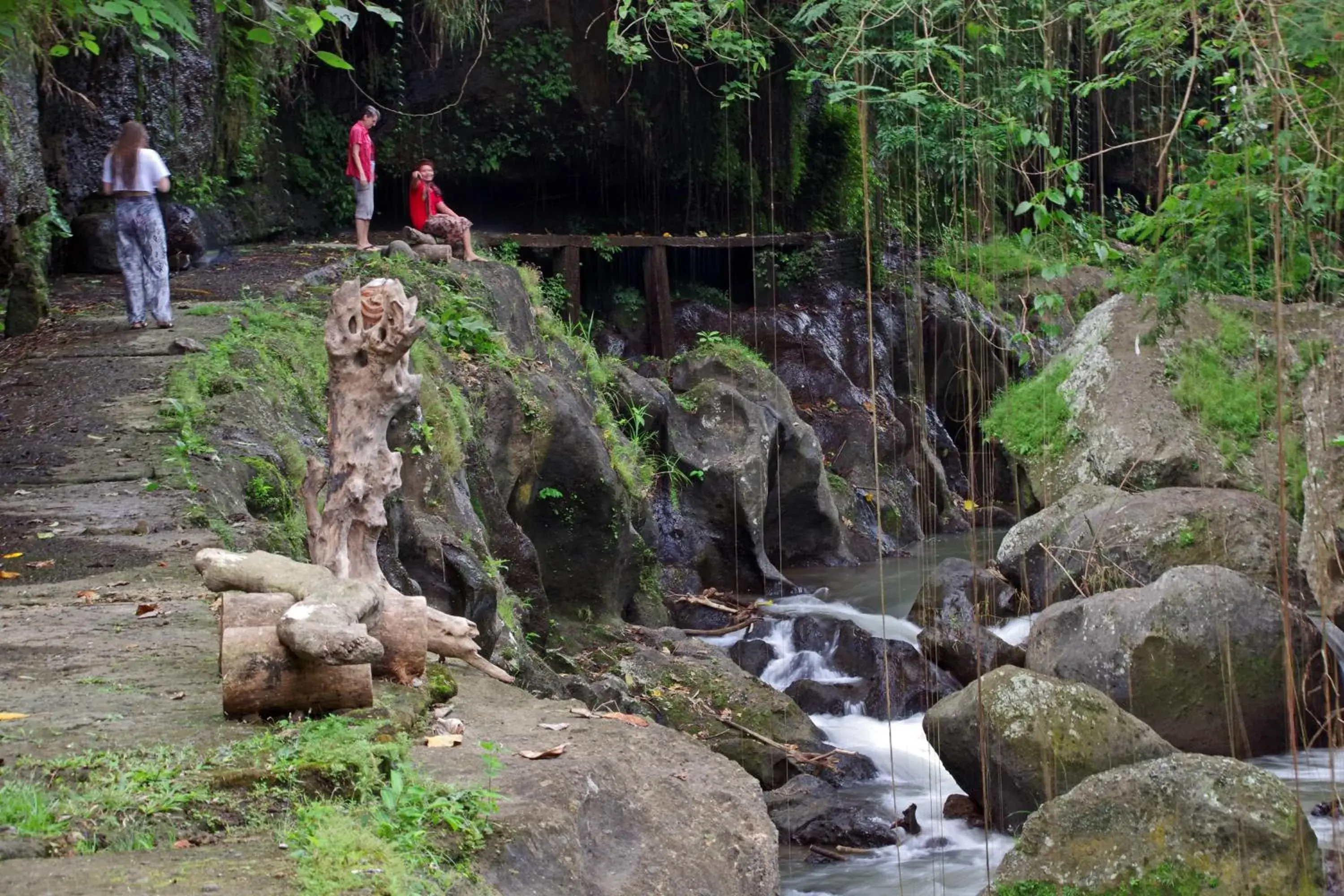 Natural Landscape in Ubad Retreat, A Local Family Run Hotel