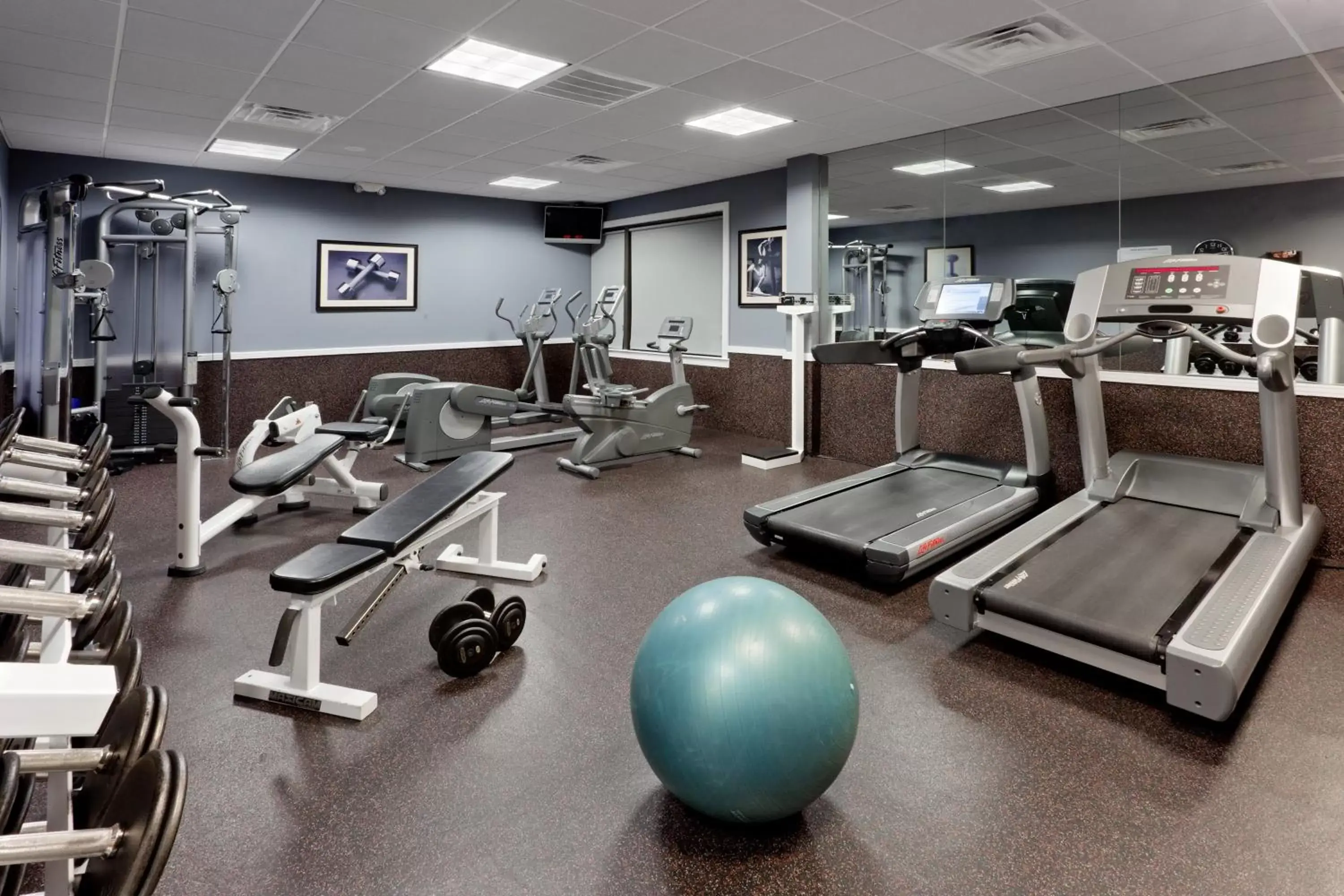 Fitness centre/facilities, Fitness Center/Facilities in Holiday Inn Clark - Newark, an IHG Hotel
