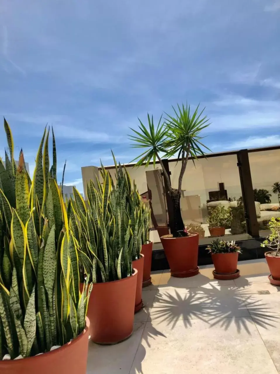 Patio in Hotel Manaíra