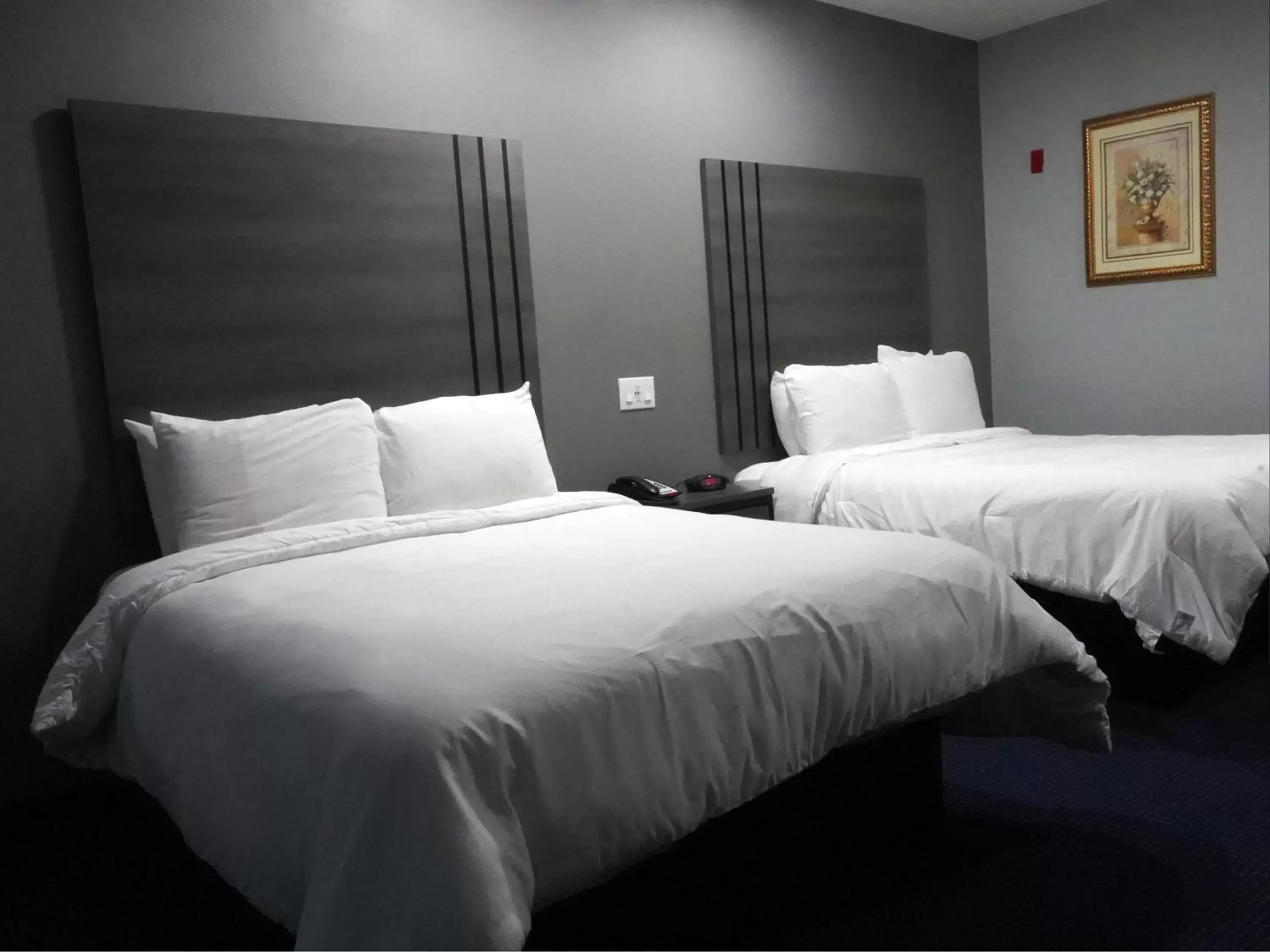 Bedroom, Bed in Americas Best Value Inn and Suites Bush International Airport