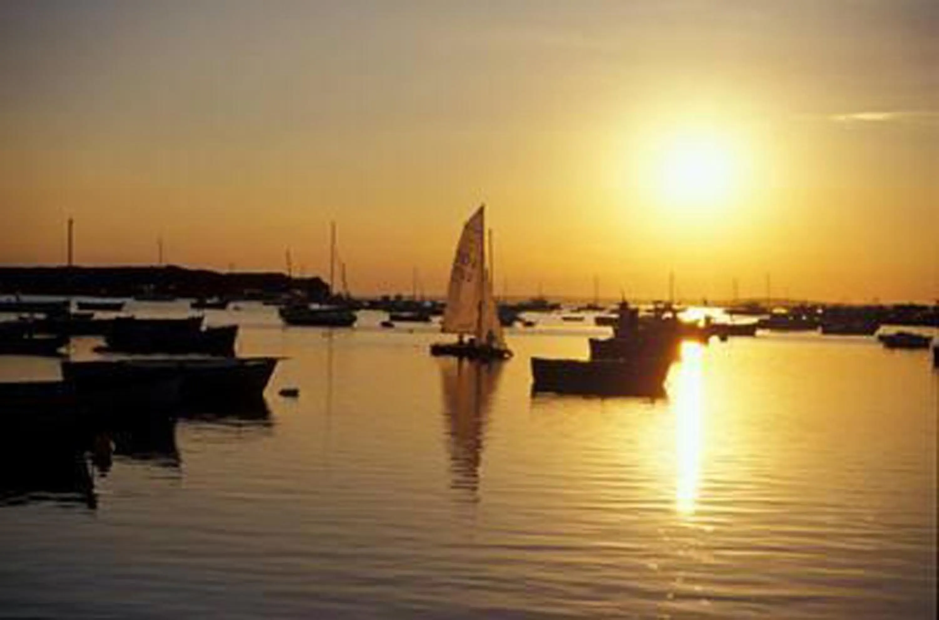 Natural landscape in Hotel Mediterraneo