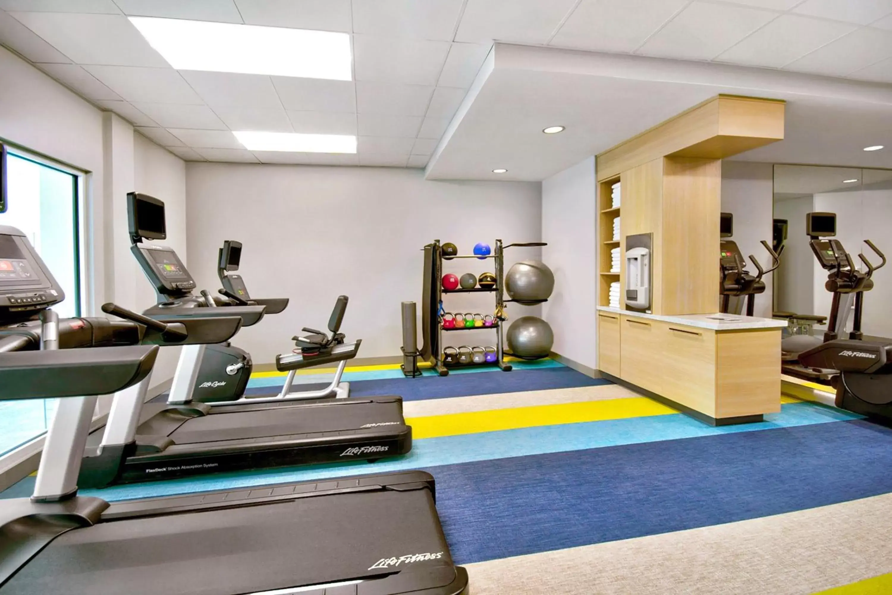 Fitness centre/facilities, Fitness Center/Facilities in TownePlace Suites by Marriott Asheville West