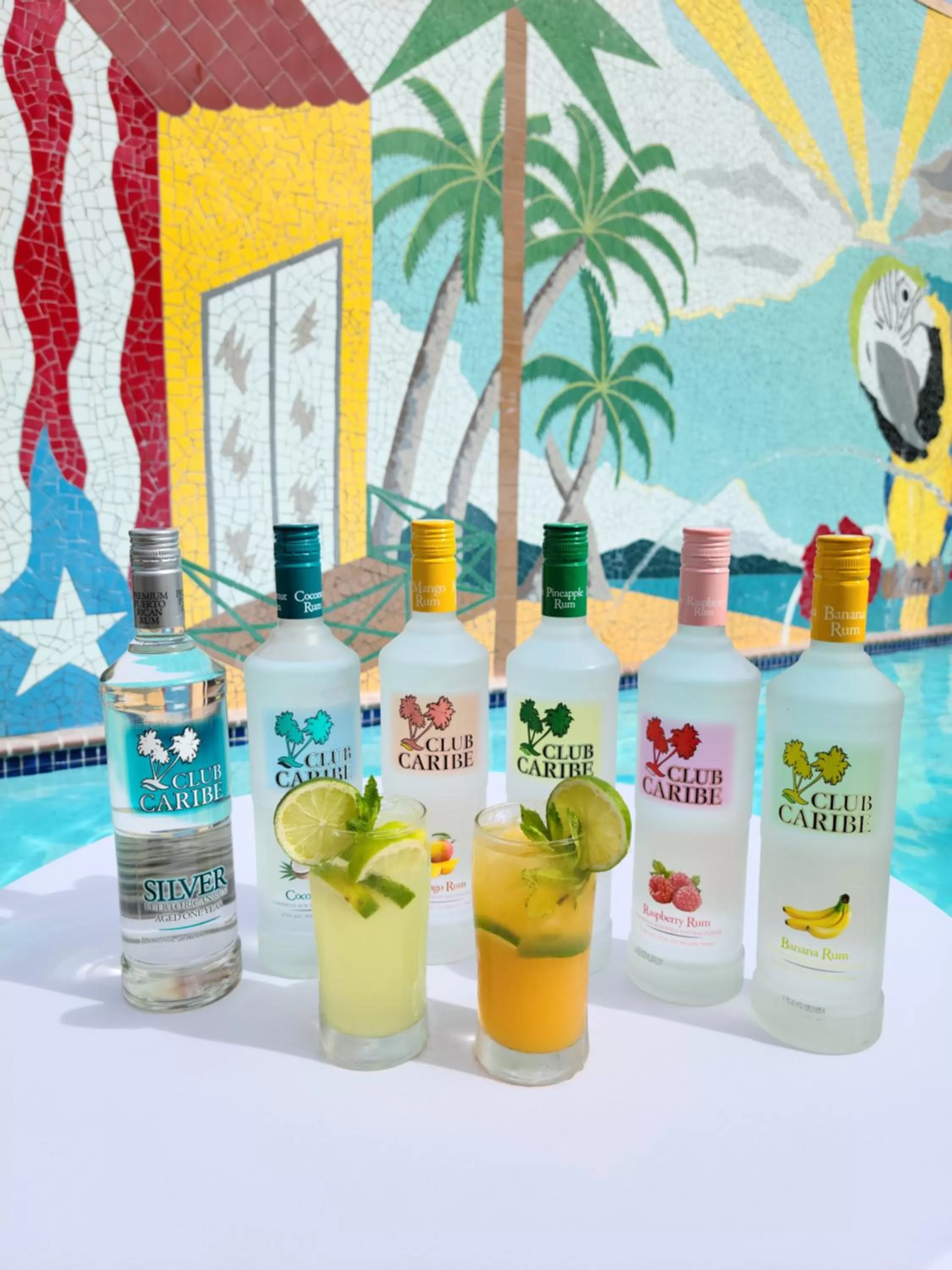 Parador Palmas de Lucia