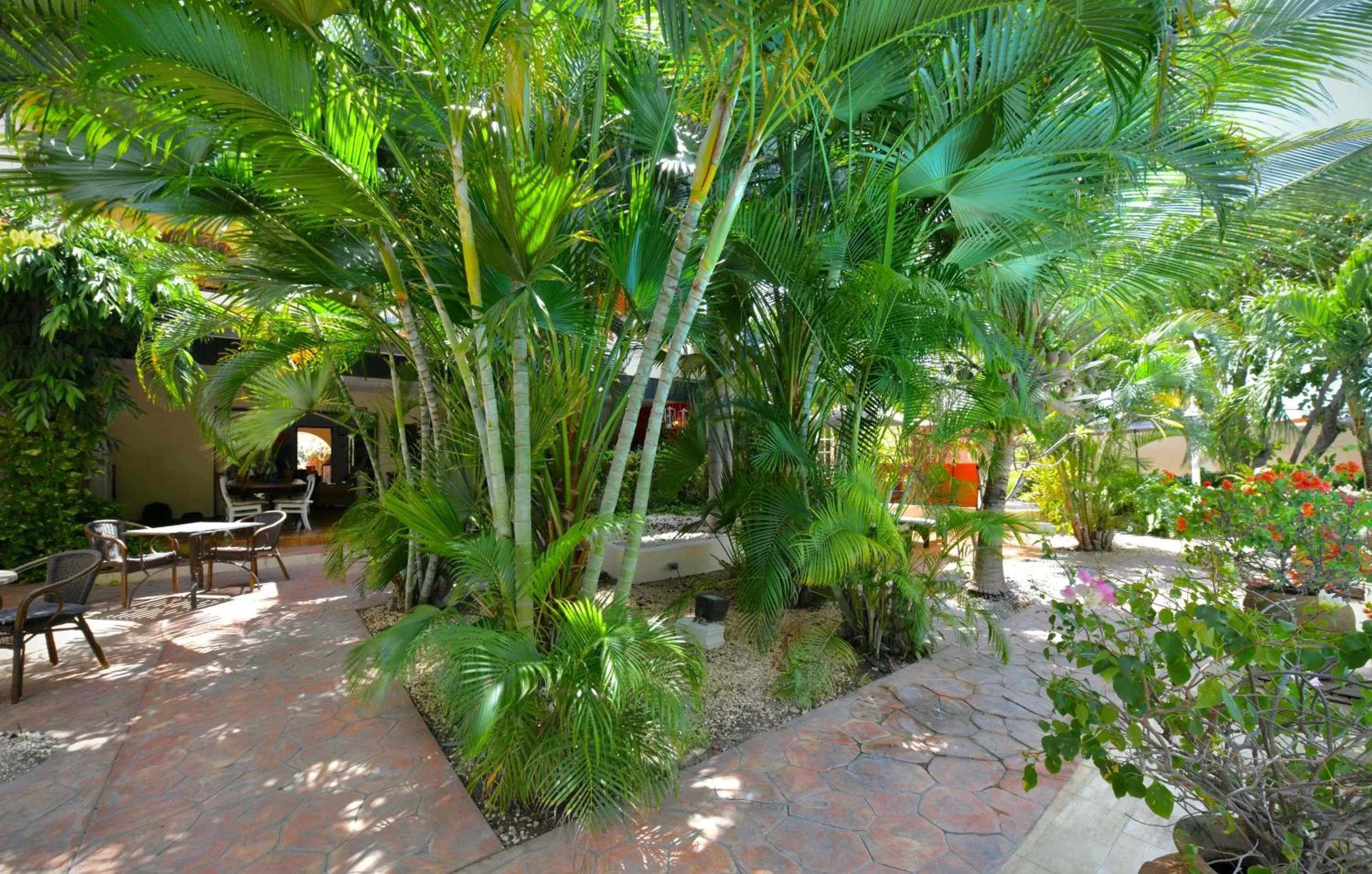 Garden in Wonders Boutique Hotel