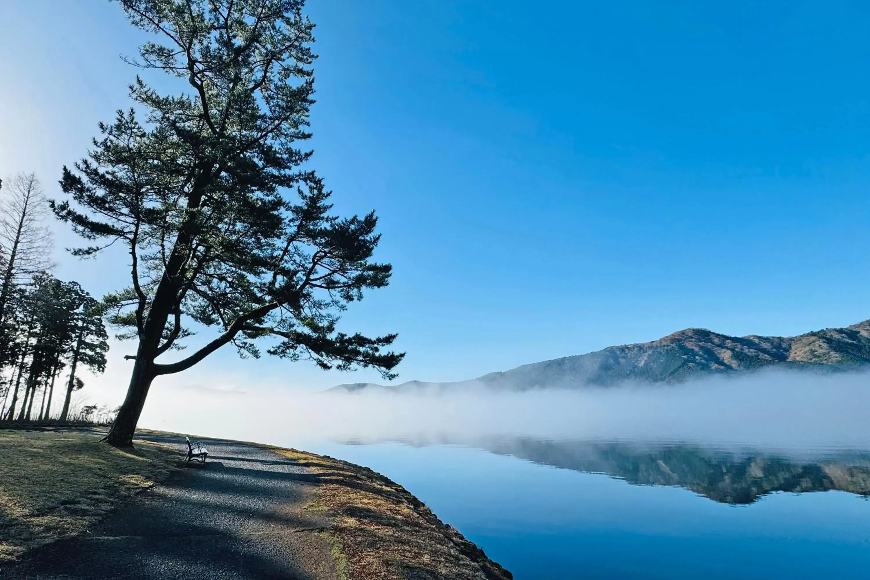 View (from property/room), Winter in The Prince Hakone Lake Ashinoko