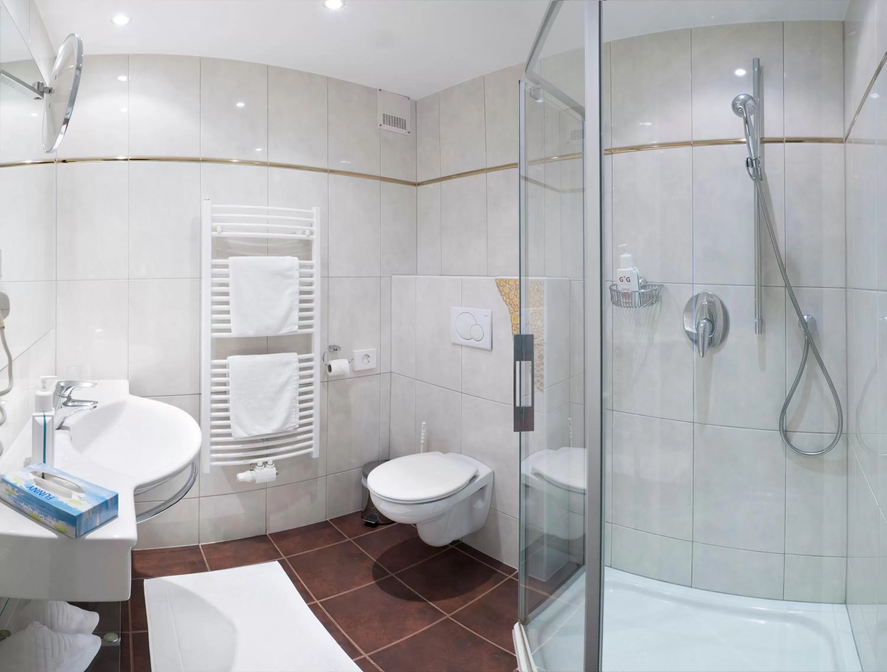 Bathroom in Hotel Goldener Löwe