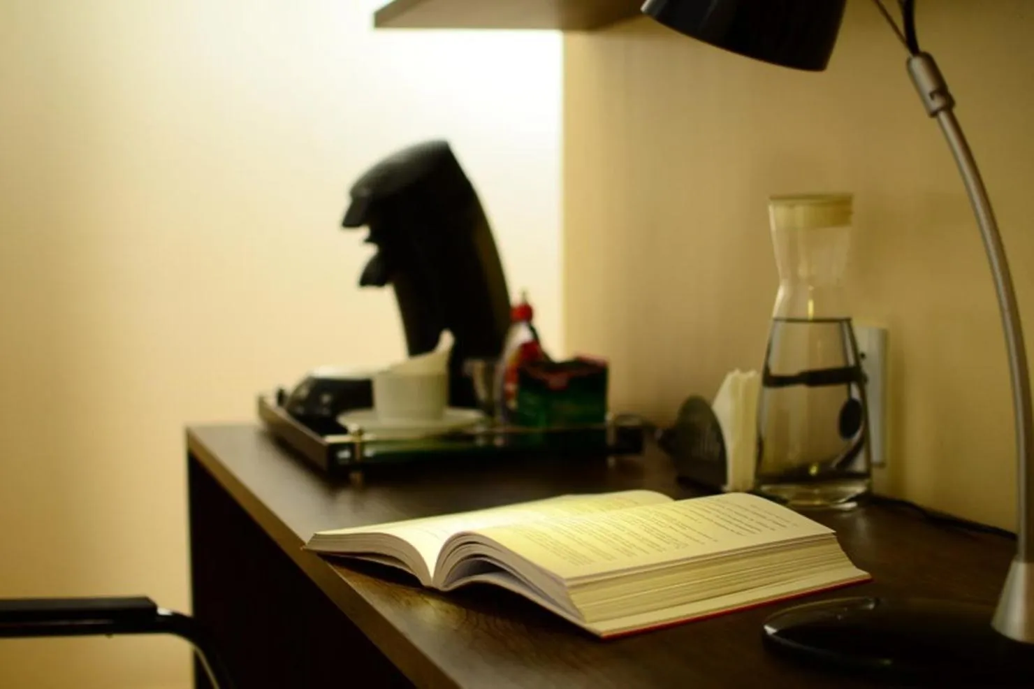 Area and facilities in Hotel Do Forte