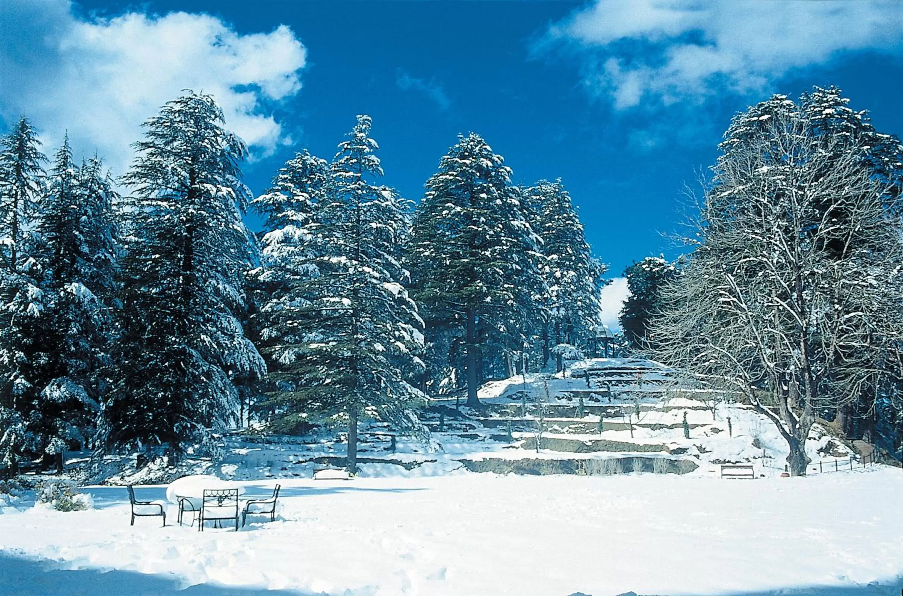 Winter in Wildflower Hall, An Oberoi Resort, Shimla