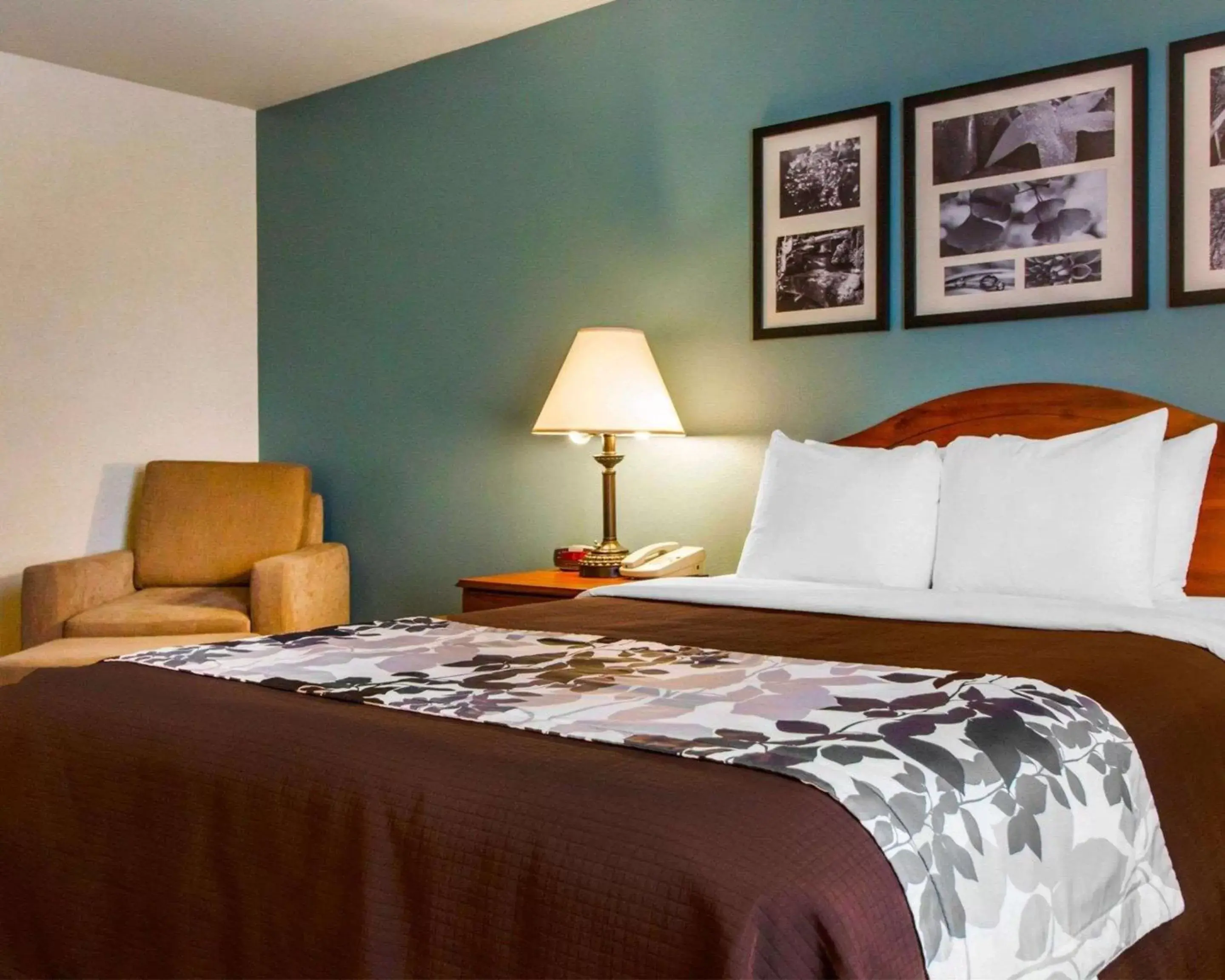 Photo of the whole room, Bed in Sleep Inn & Suites Evansville