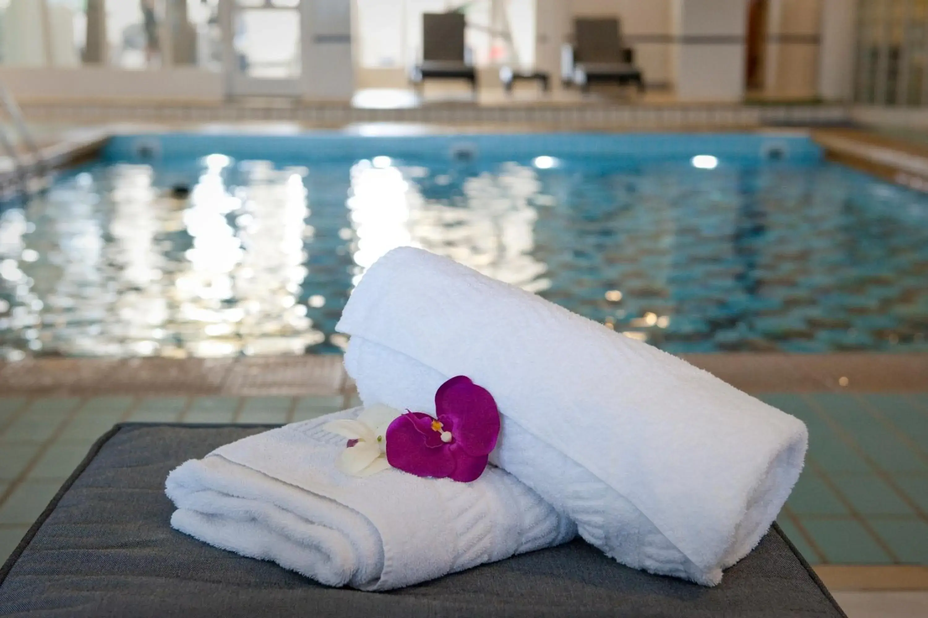 Swimming Pool in Sandbanks Hotel