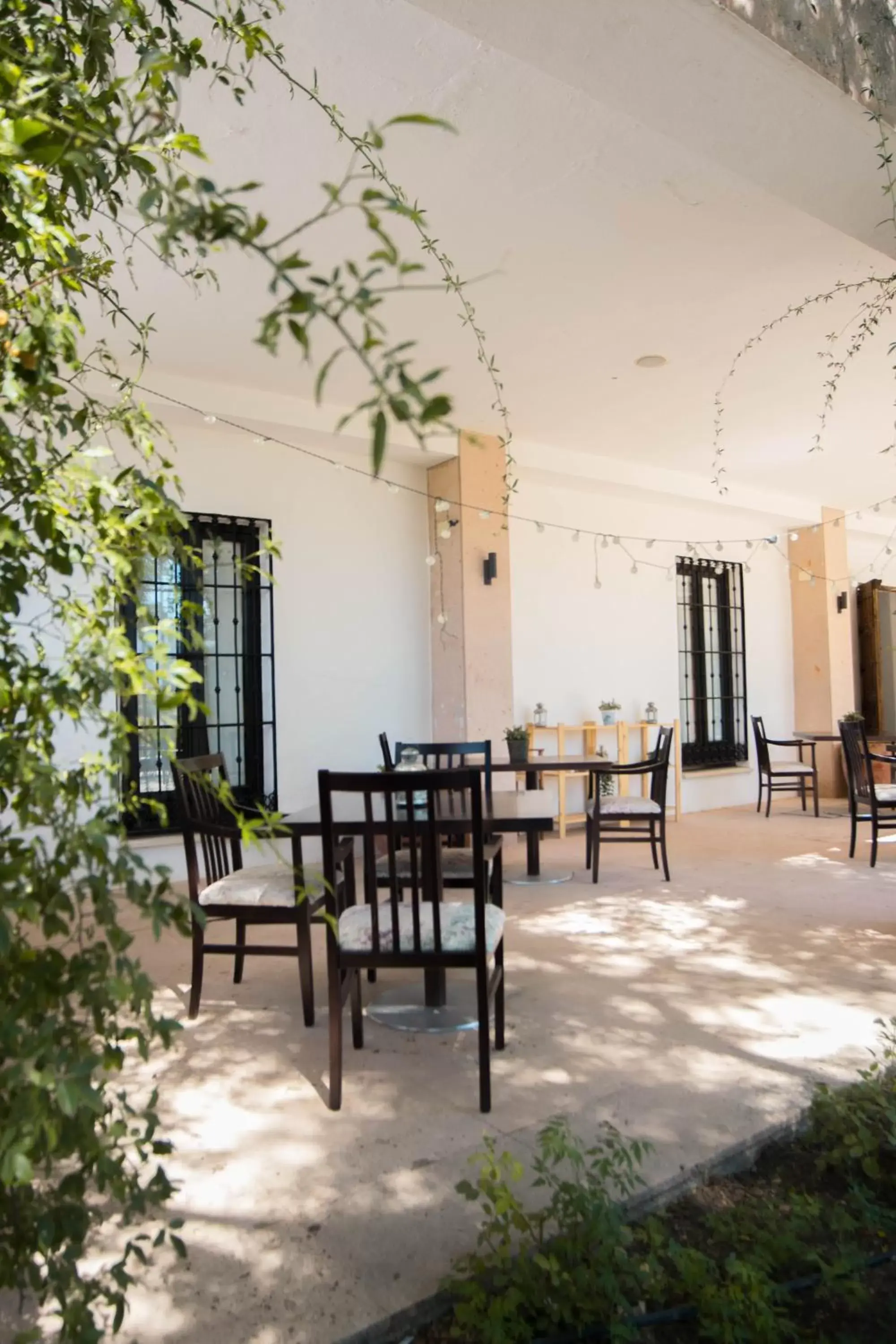 Balcony/Terrace, Restaurant/Places to Eat in Hotel Bodega El Juncal