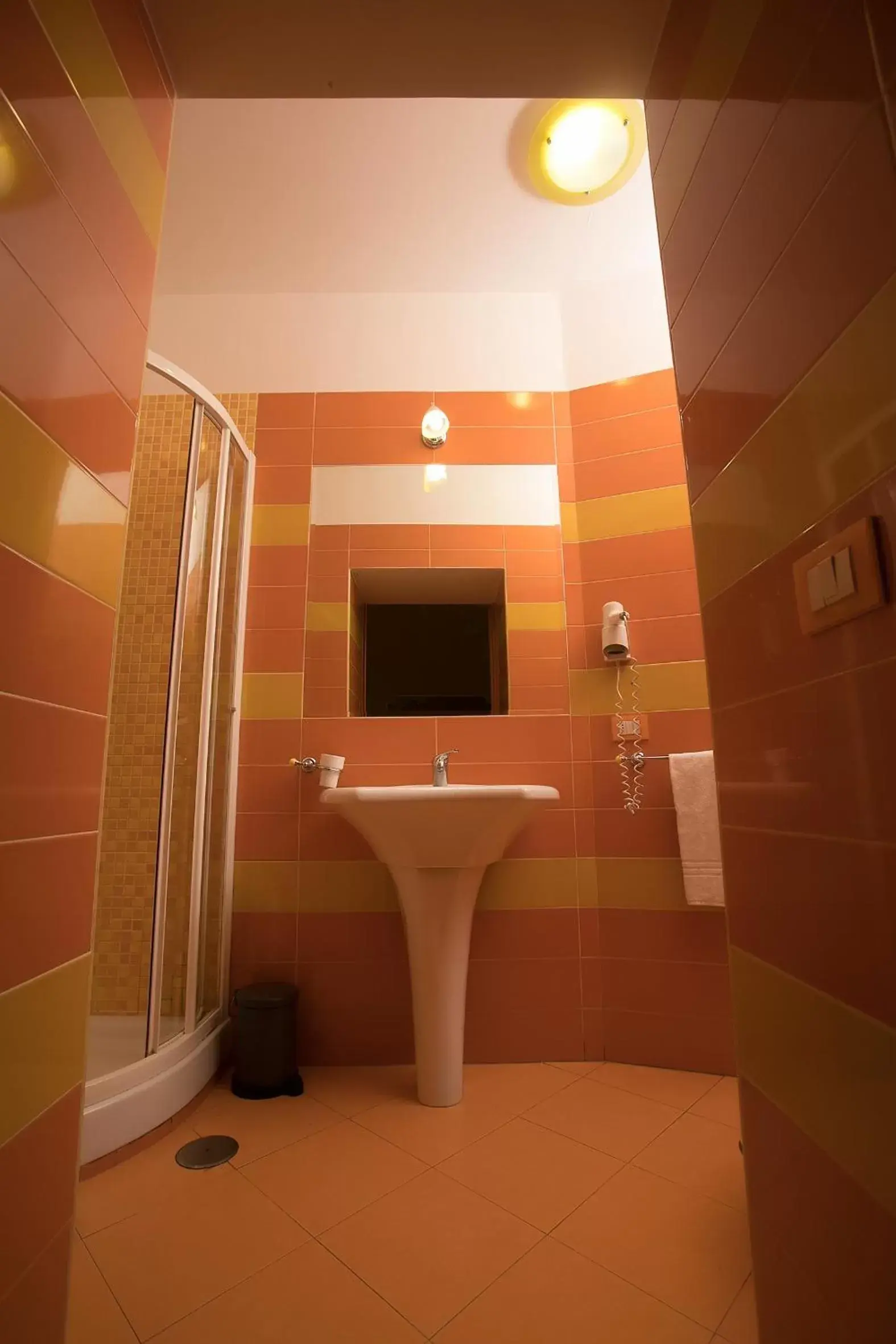 Shower, Bathroom in Hotel Potenza