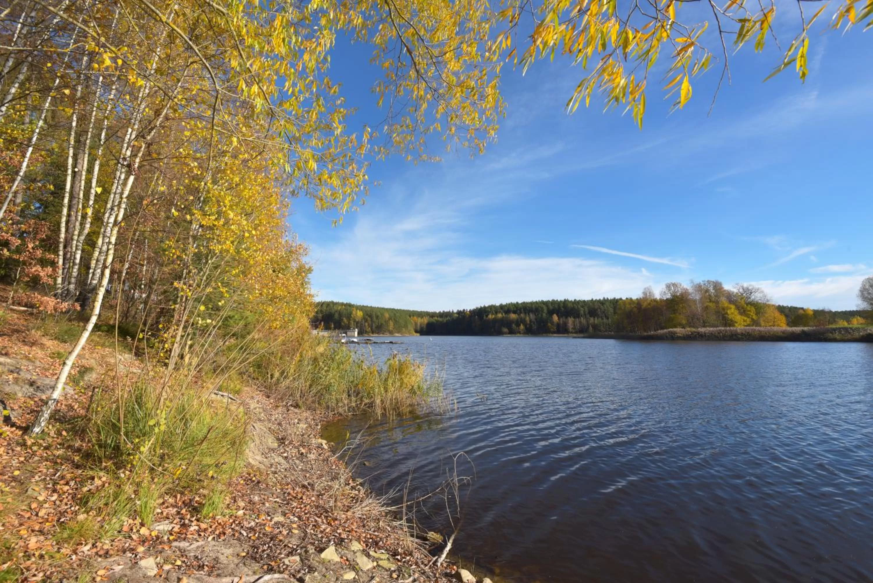 Natural landscape in Riverdam Boutique Hotel