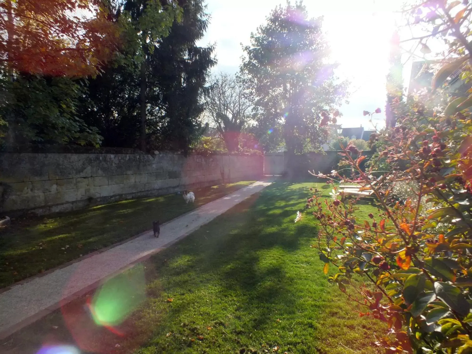 Garden in A la Fleur de Lys