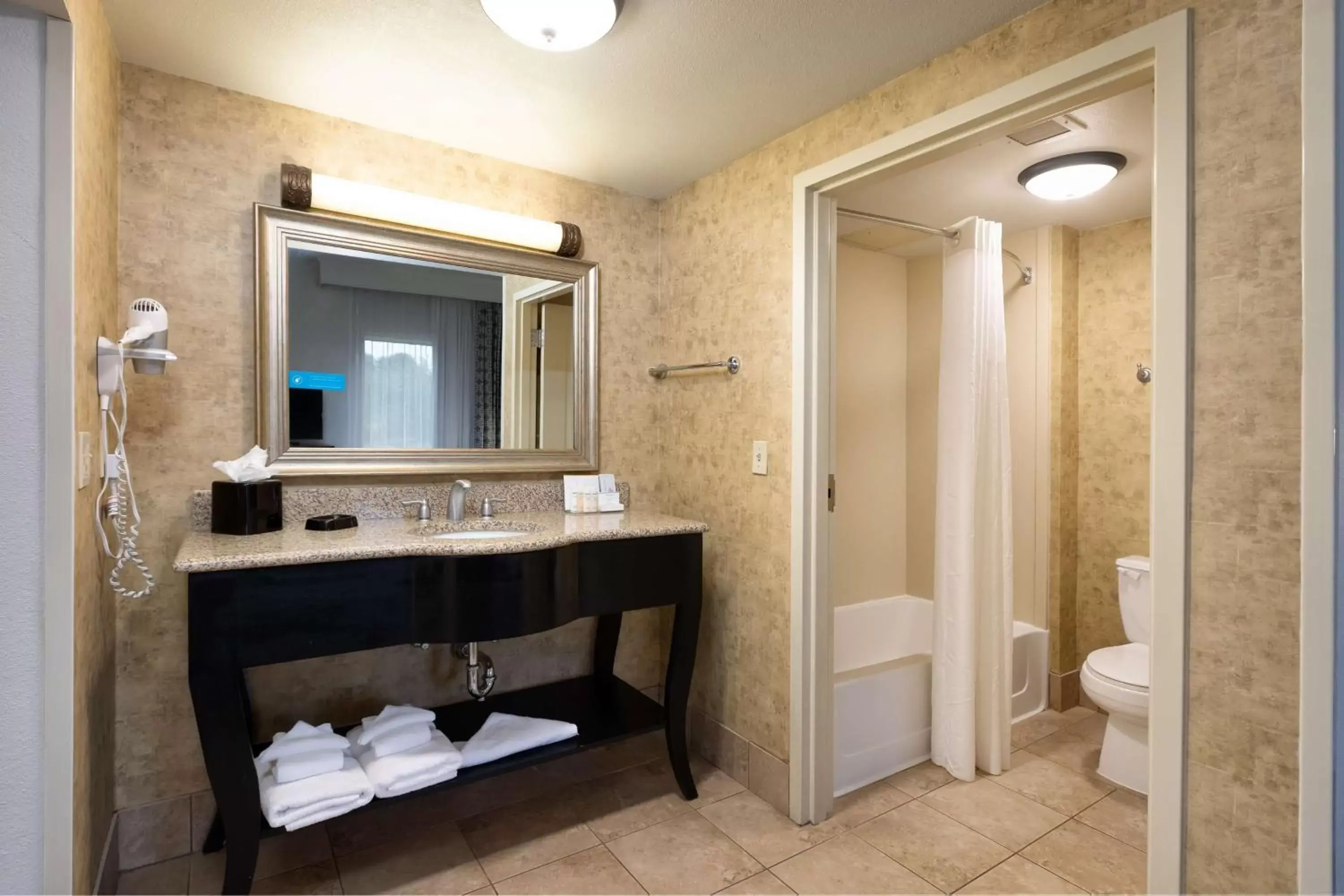 Bathroom in Hampton Inn & Suites Baton Rouge - I-10 East