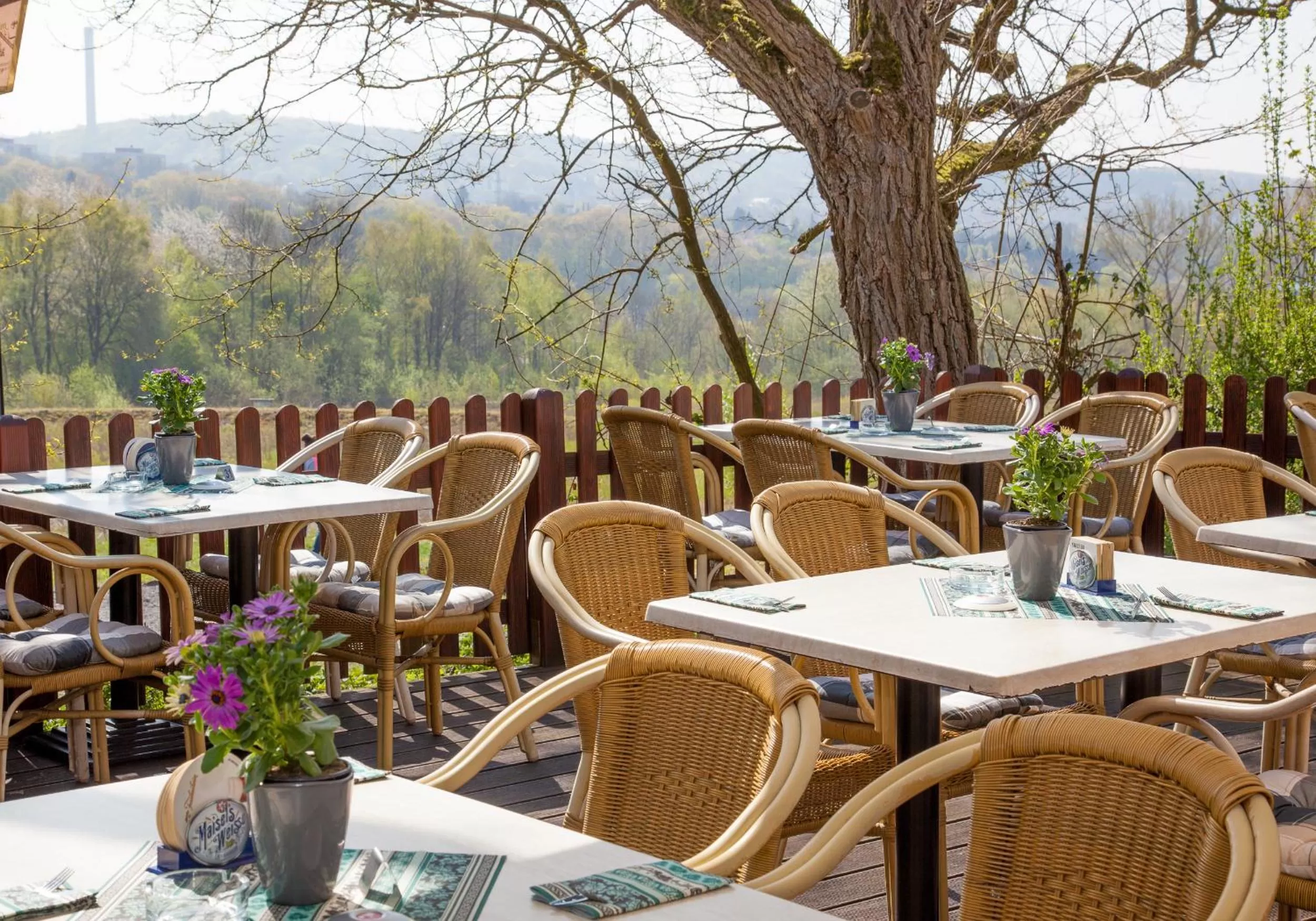 Spring in Waldhotel Eskeshof