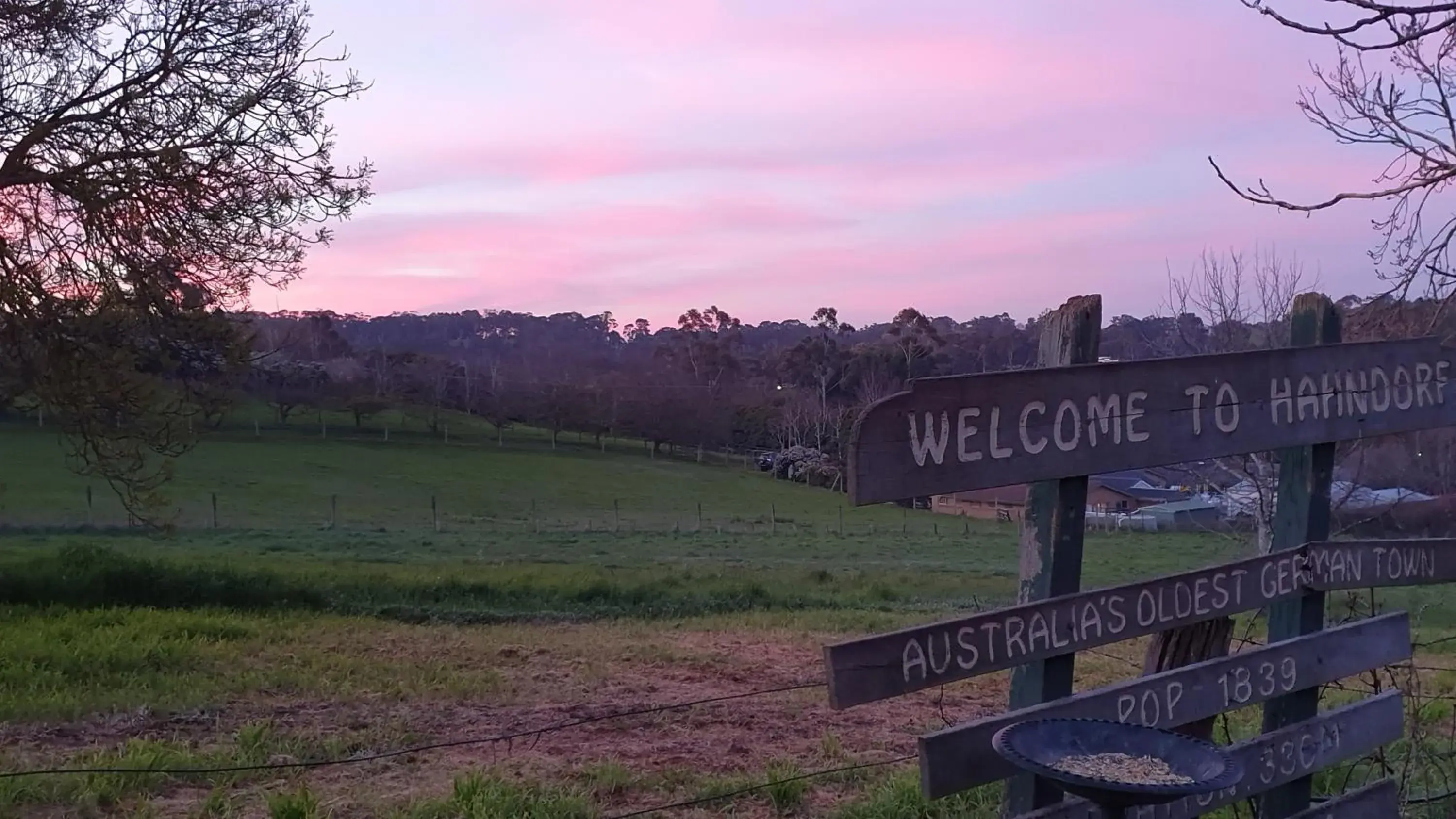 Spring in Amble at Hahndorf