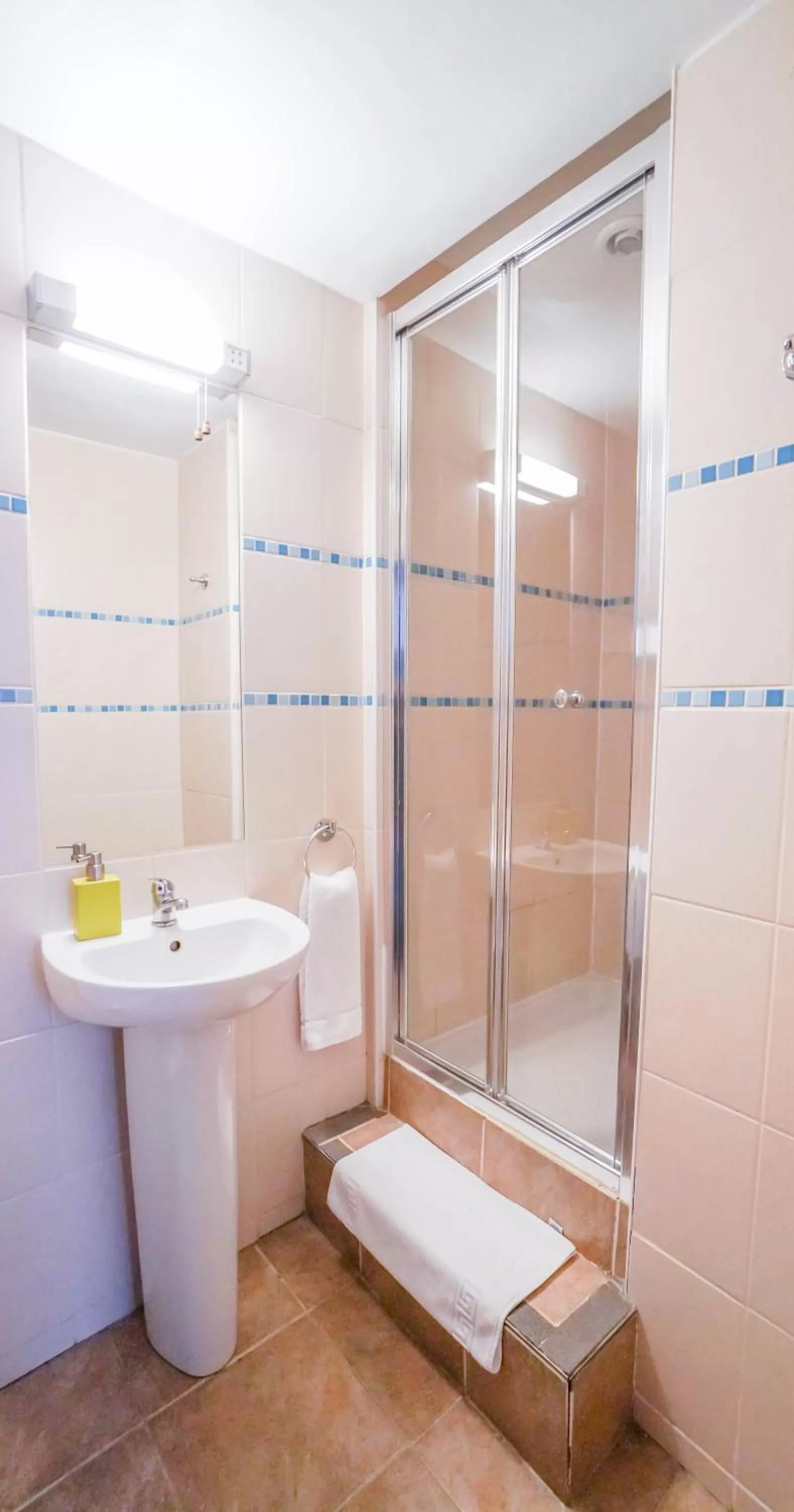 Shower in St Athans Hotel