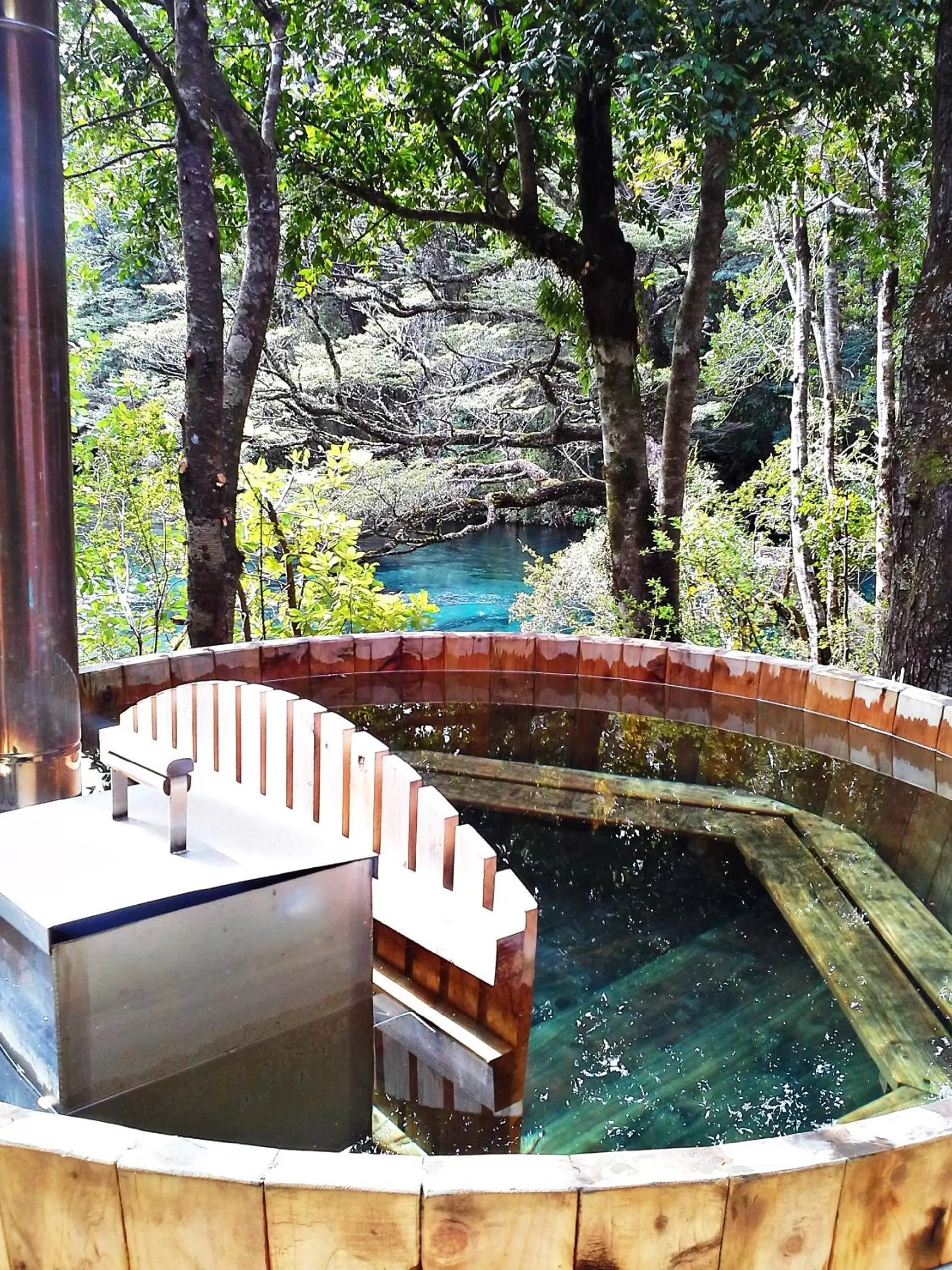 River view, Swimming Pool in Hotel Salto del Carileufu