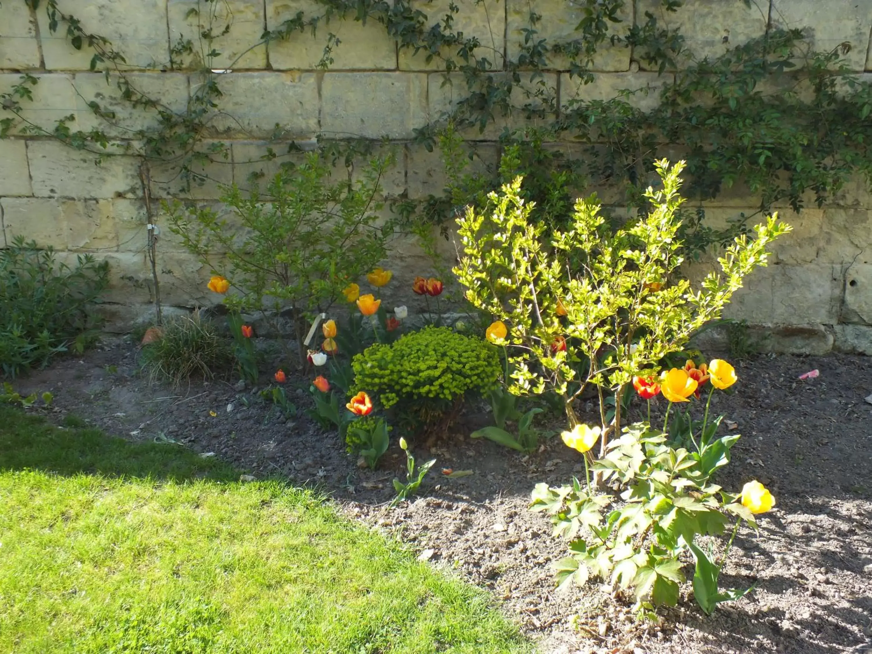 Garden in A la Fleur de Lys