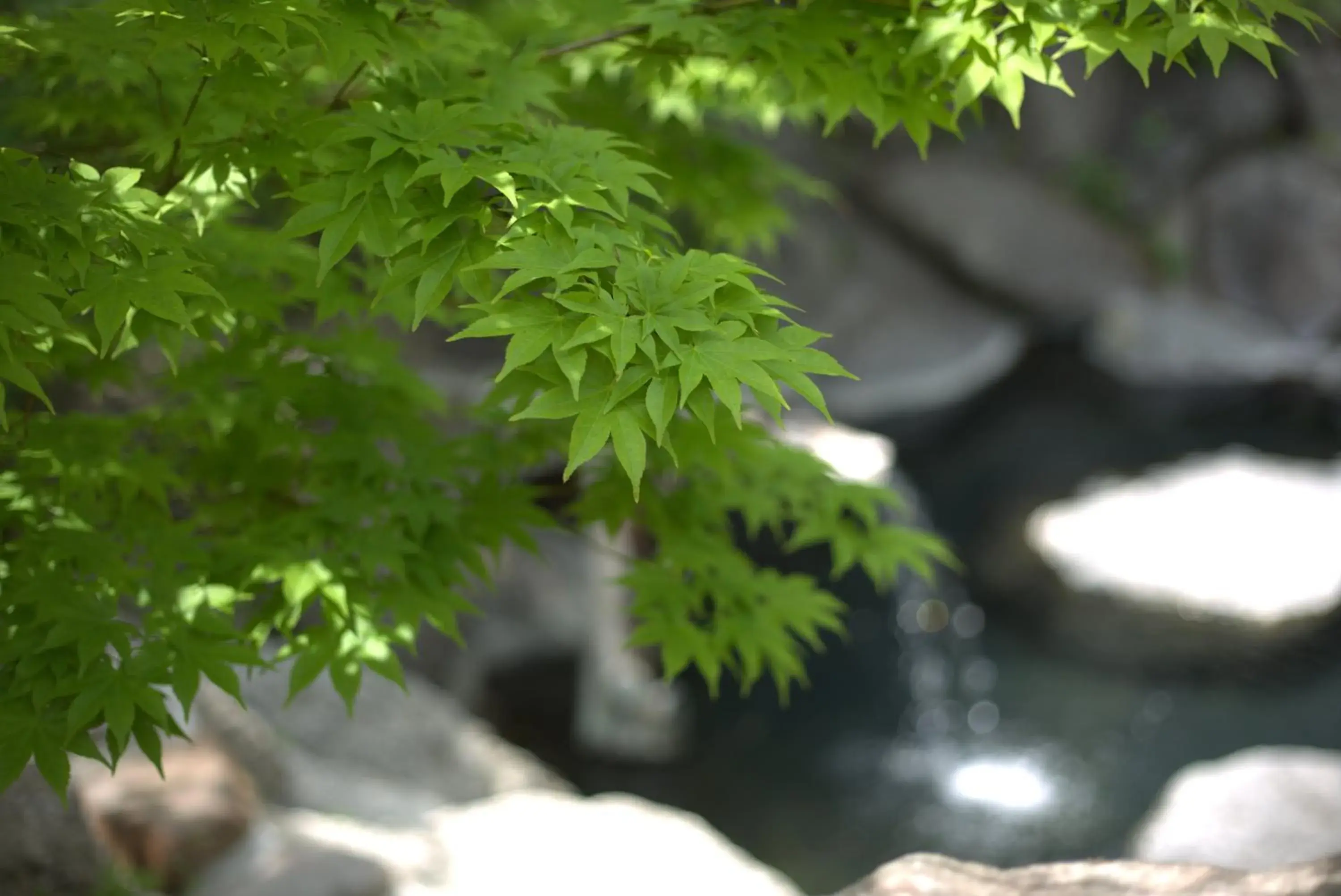 Open Air Bath in Hatcho no Yu Hot Spring Ryokan