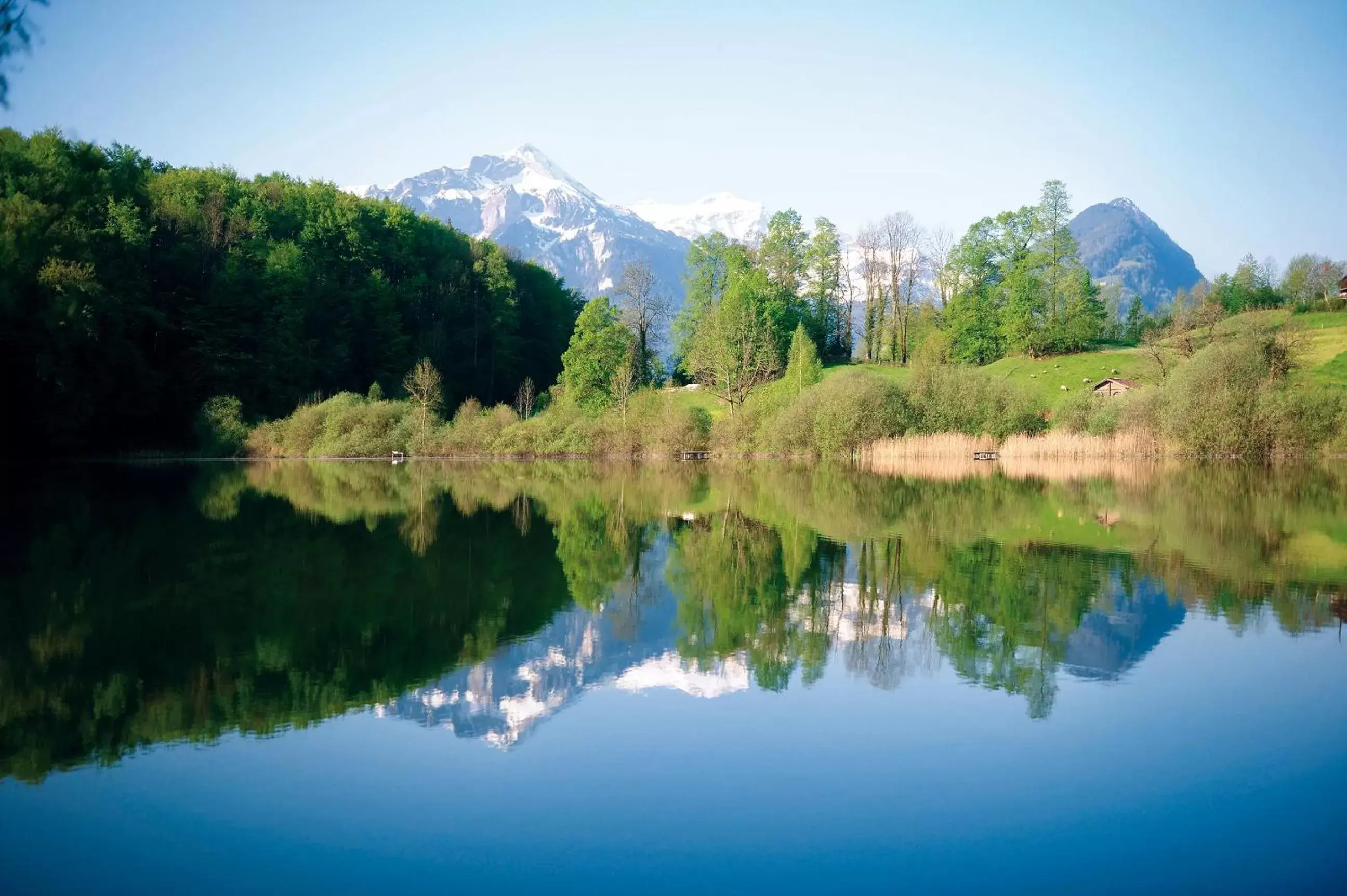 Natural Landscape in Hotel Artos Interlaken