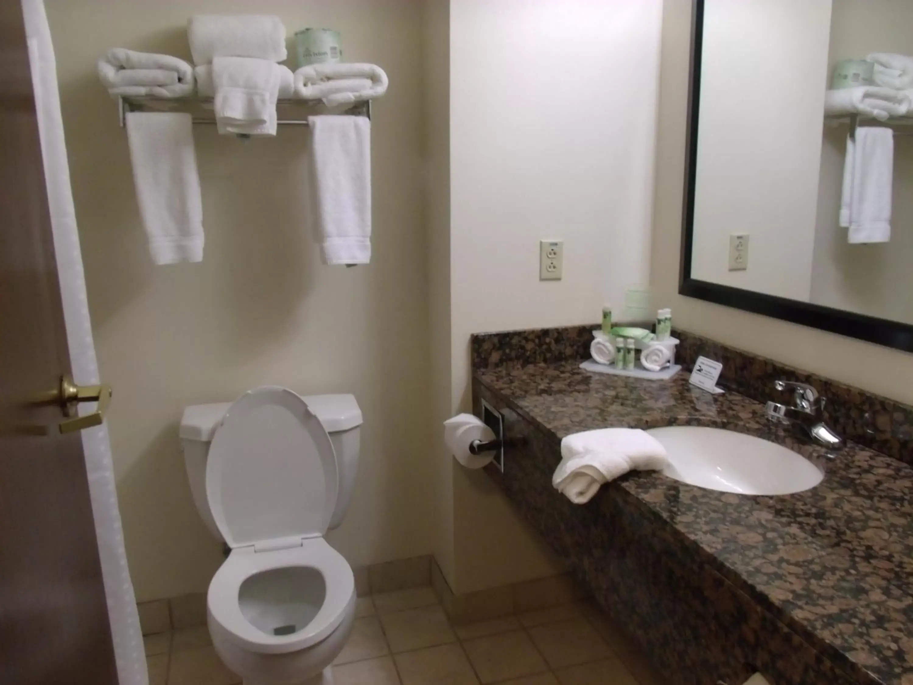 Bathroom in Holiday Inn Express Hotel and Suites Marysville, an IHG Hotel