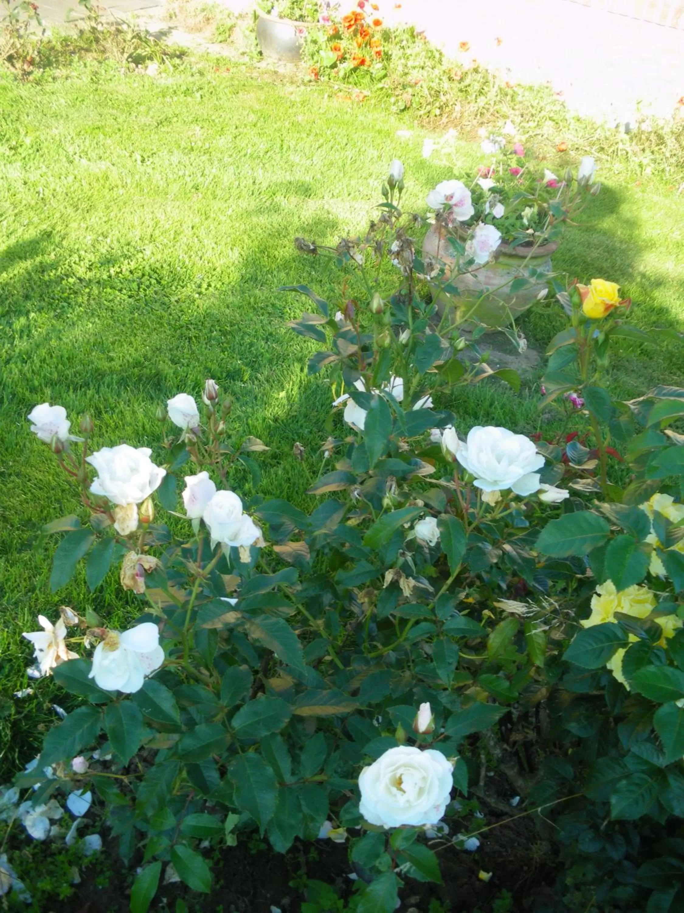 La Vallée des Trois Monts