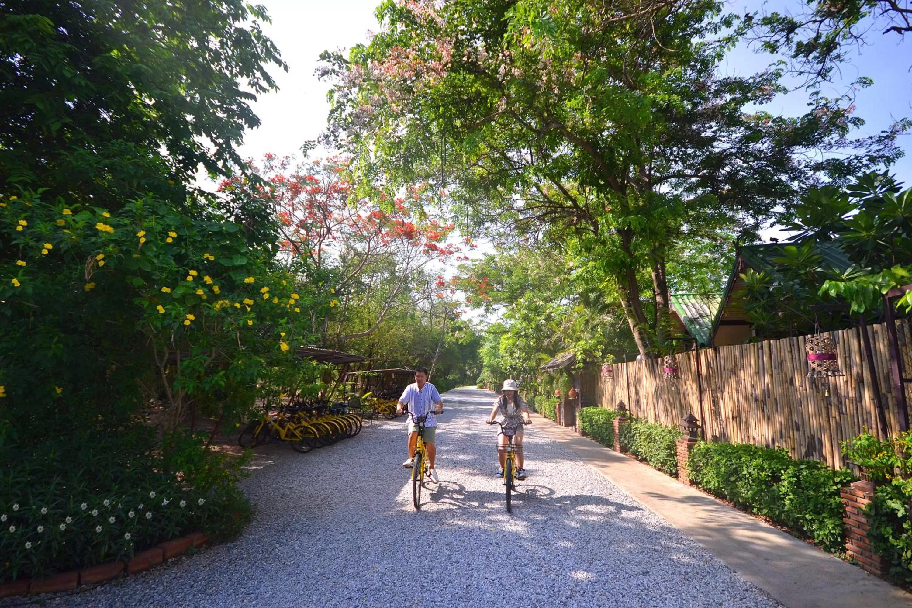 Garden in Thai Thai Sukhothai Resort