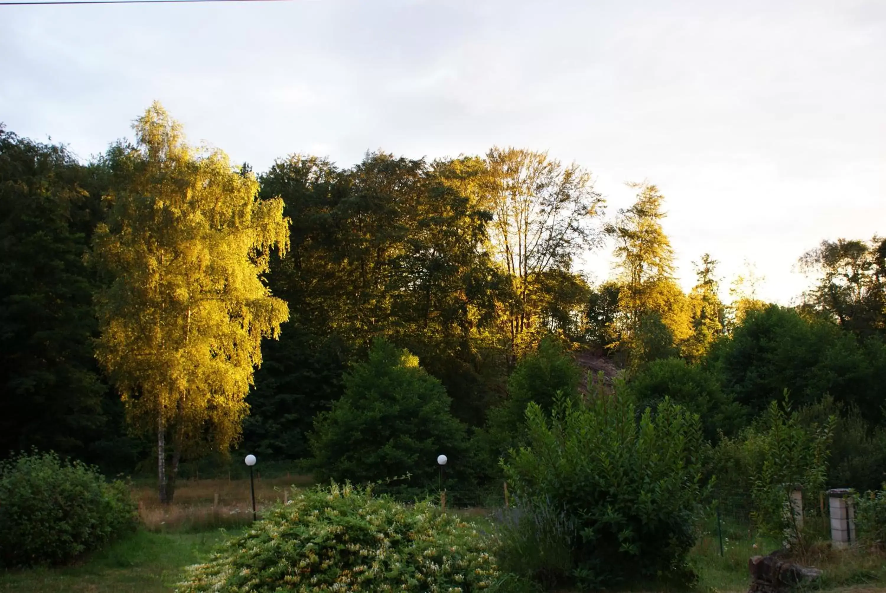 Natural landscape in MOULIN DE LACHAUD