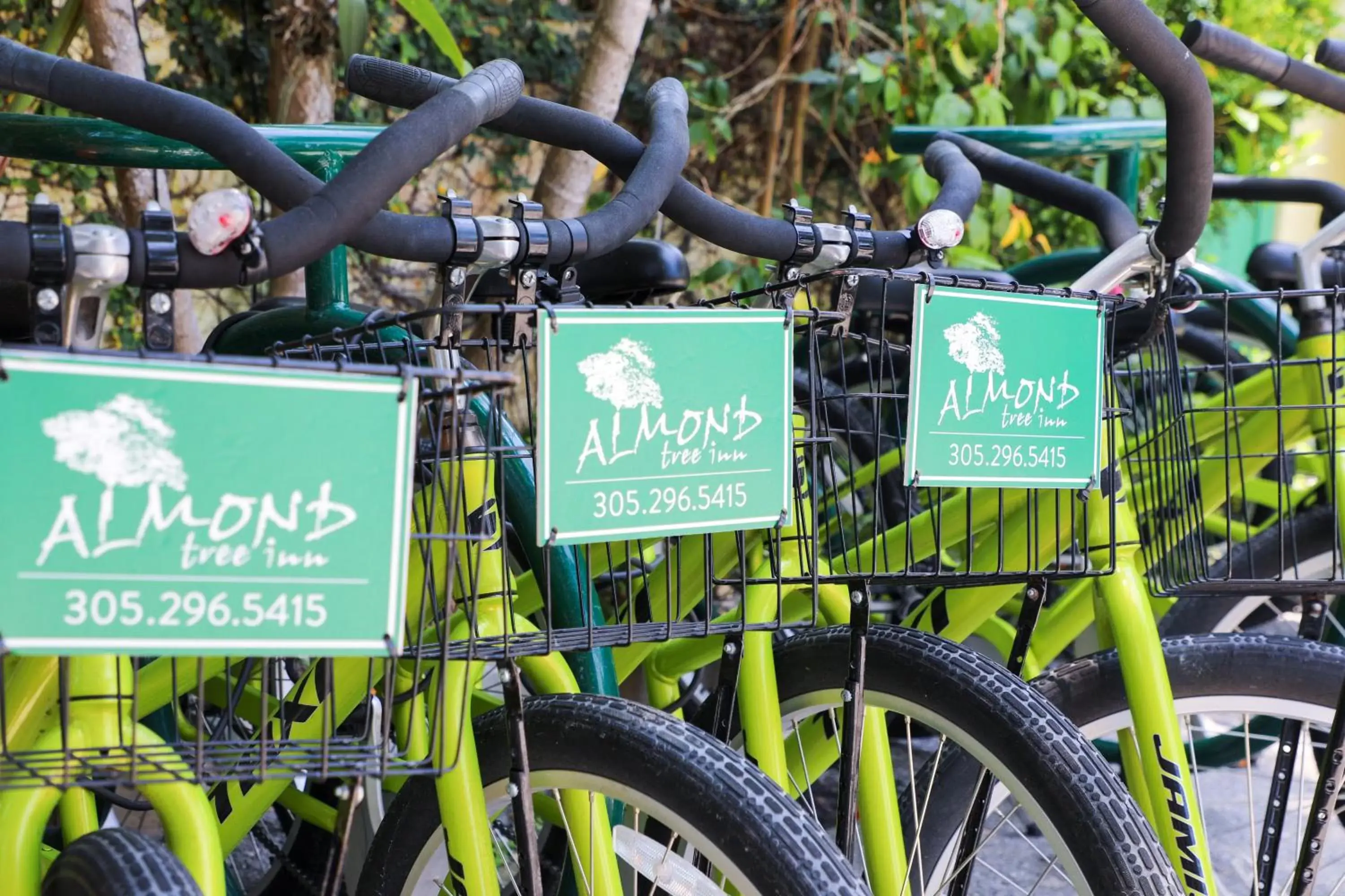 Cycling, Biking in Almond Tree Inn - Adults Only