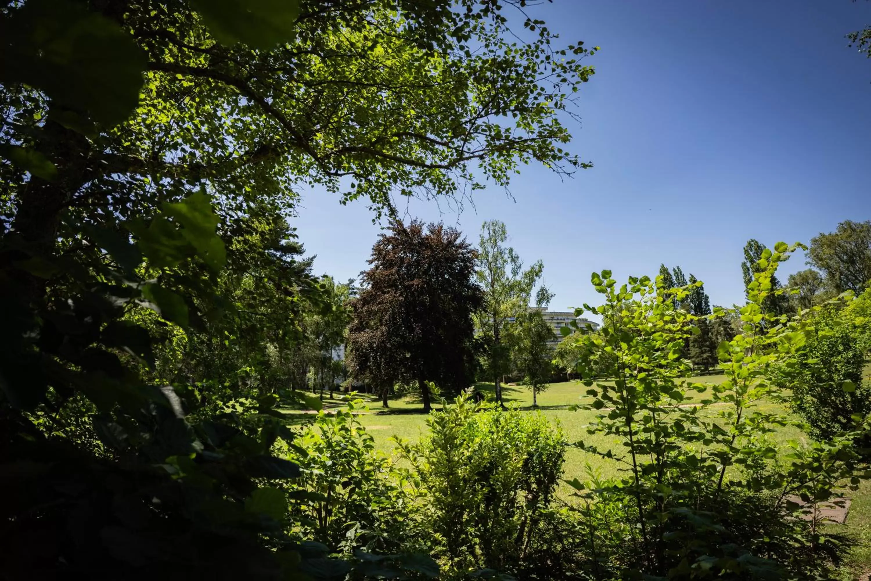 Area and facilities in Brit Hotel Le Parc Vichy