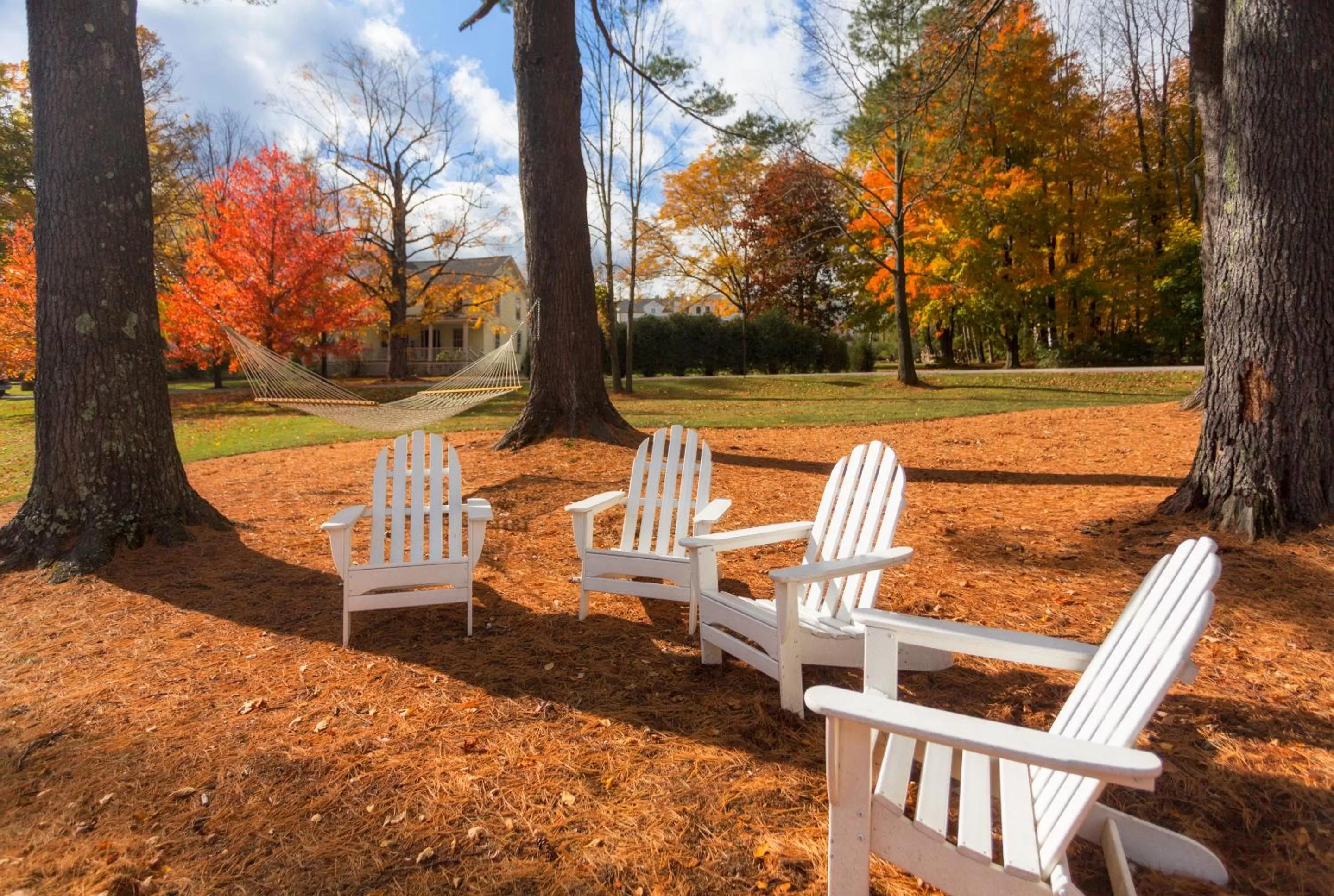 Natural landscape in The Inn at Manchester