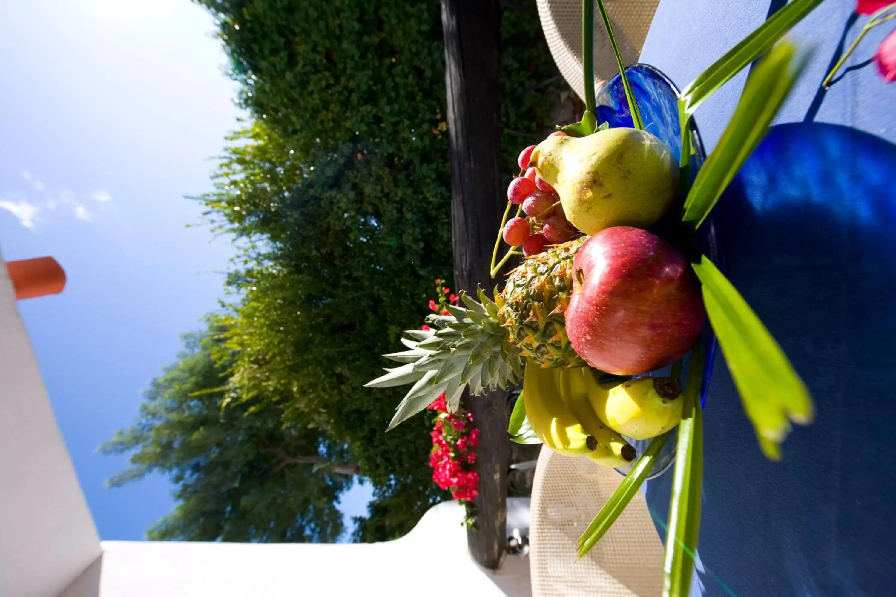 View (from property/room) in Central Park Terme View (from property/room) in Central Park Terme