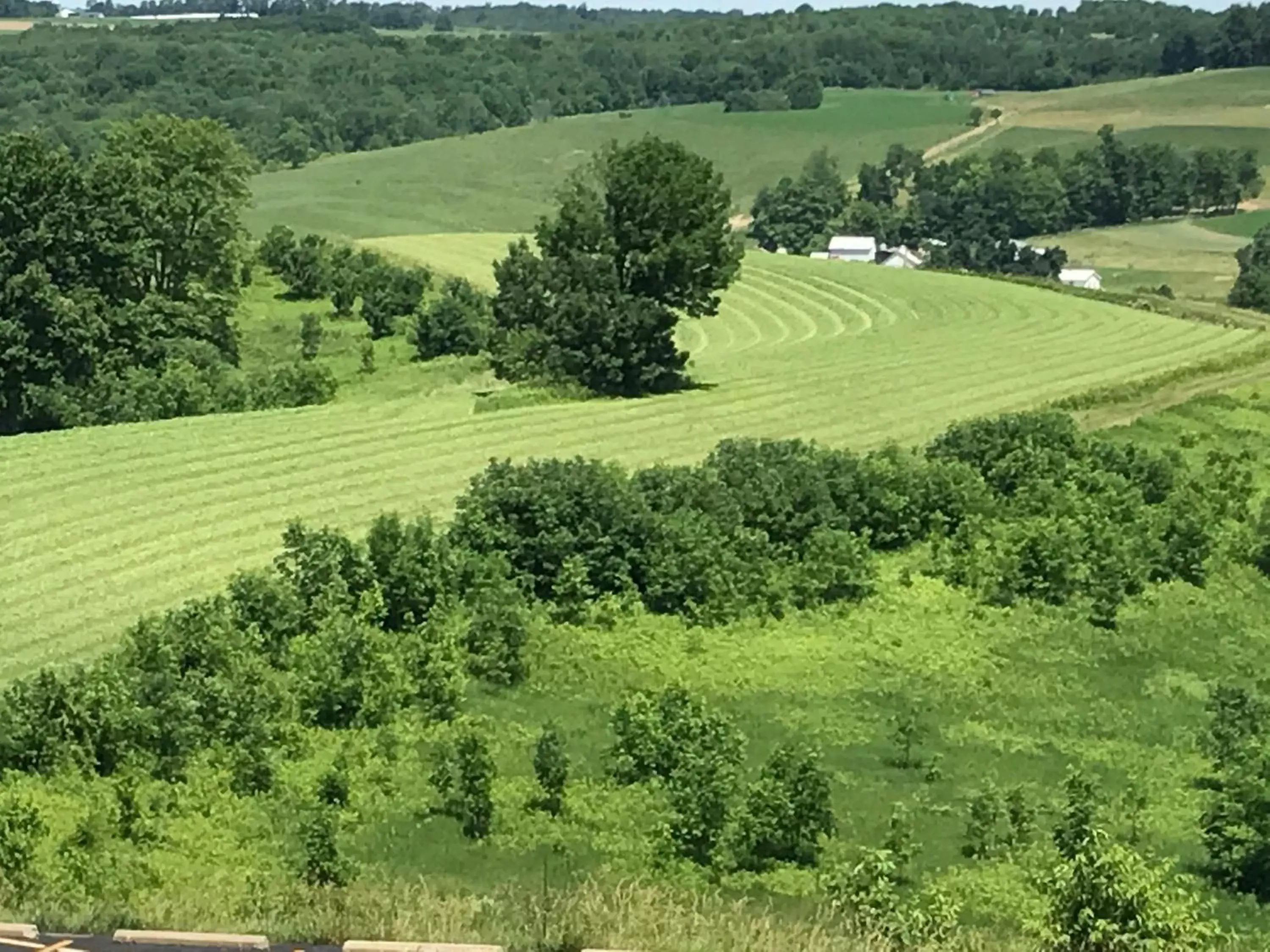 Natural landscape, Bird's-eye View in Carlisle Inn Walnut Creek