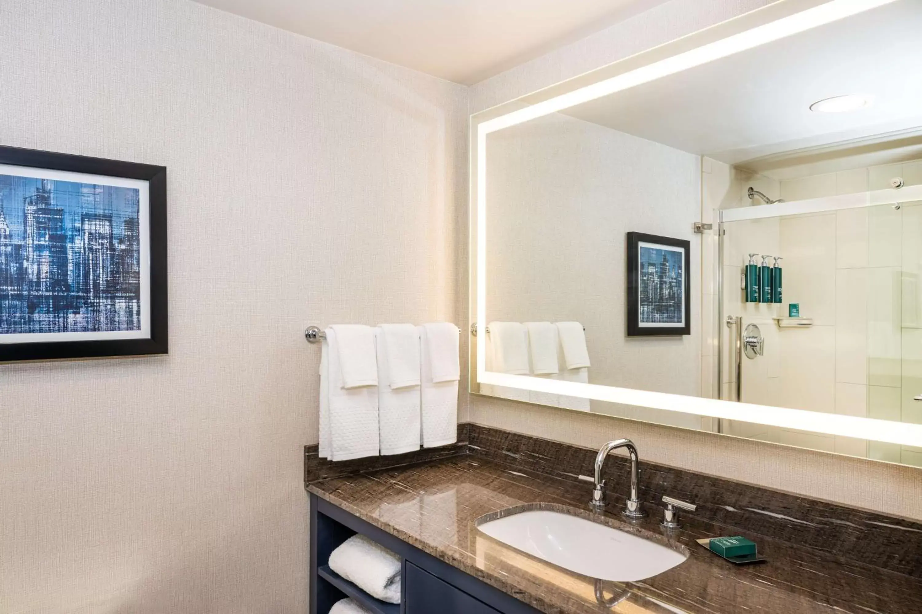 Bathroom in DoubleTree by Hilton Hotel Newark Airport