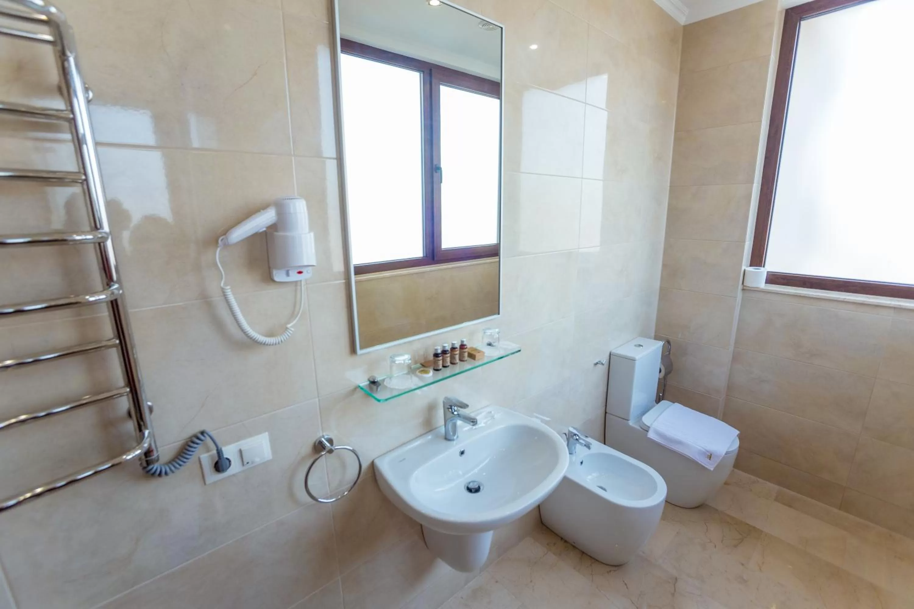 Toilet in Ambassador Hotel