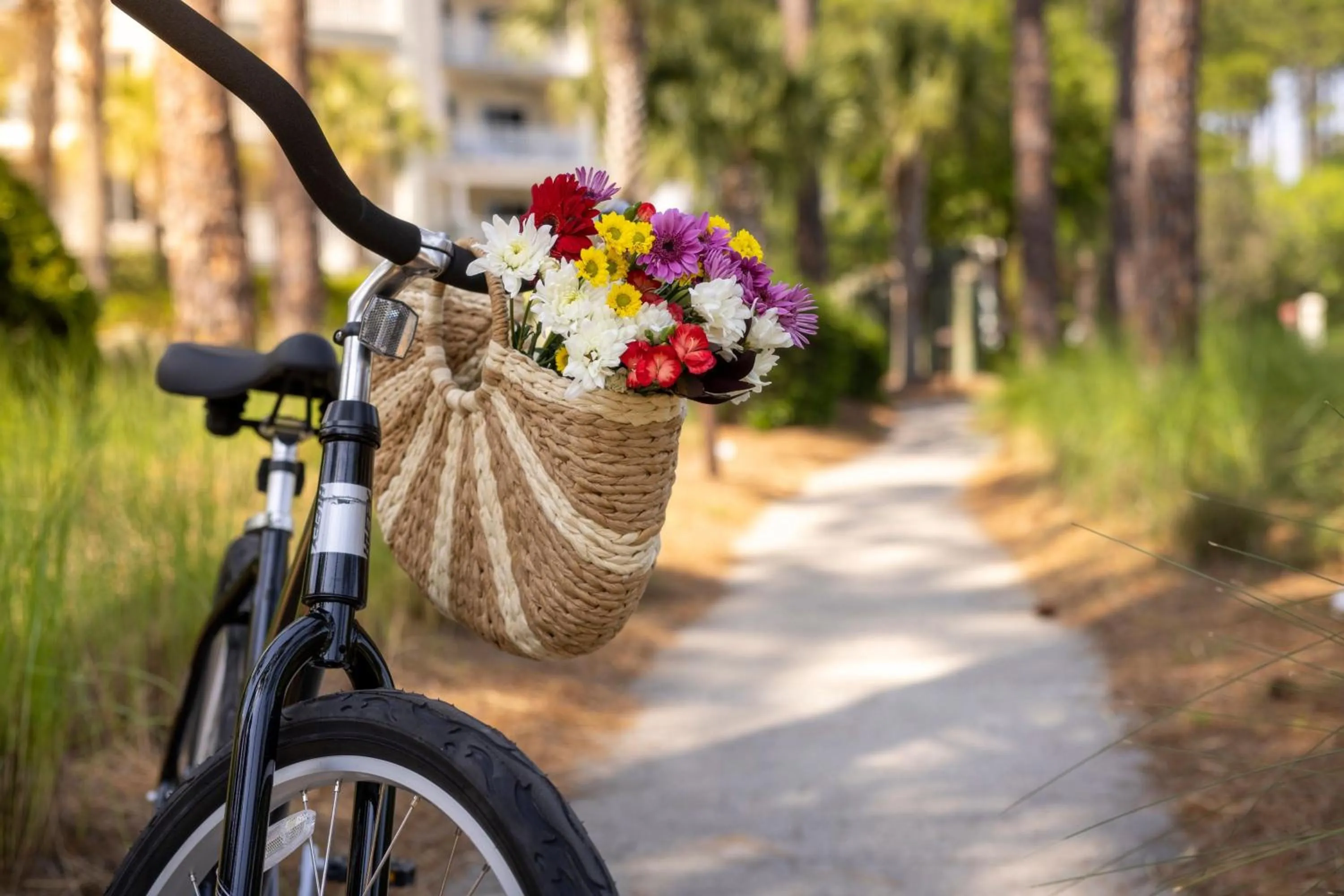 Other in Marriott's SurfWatch