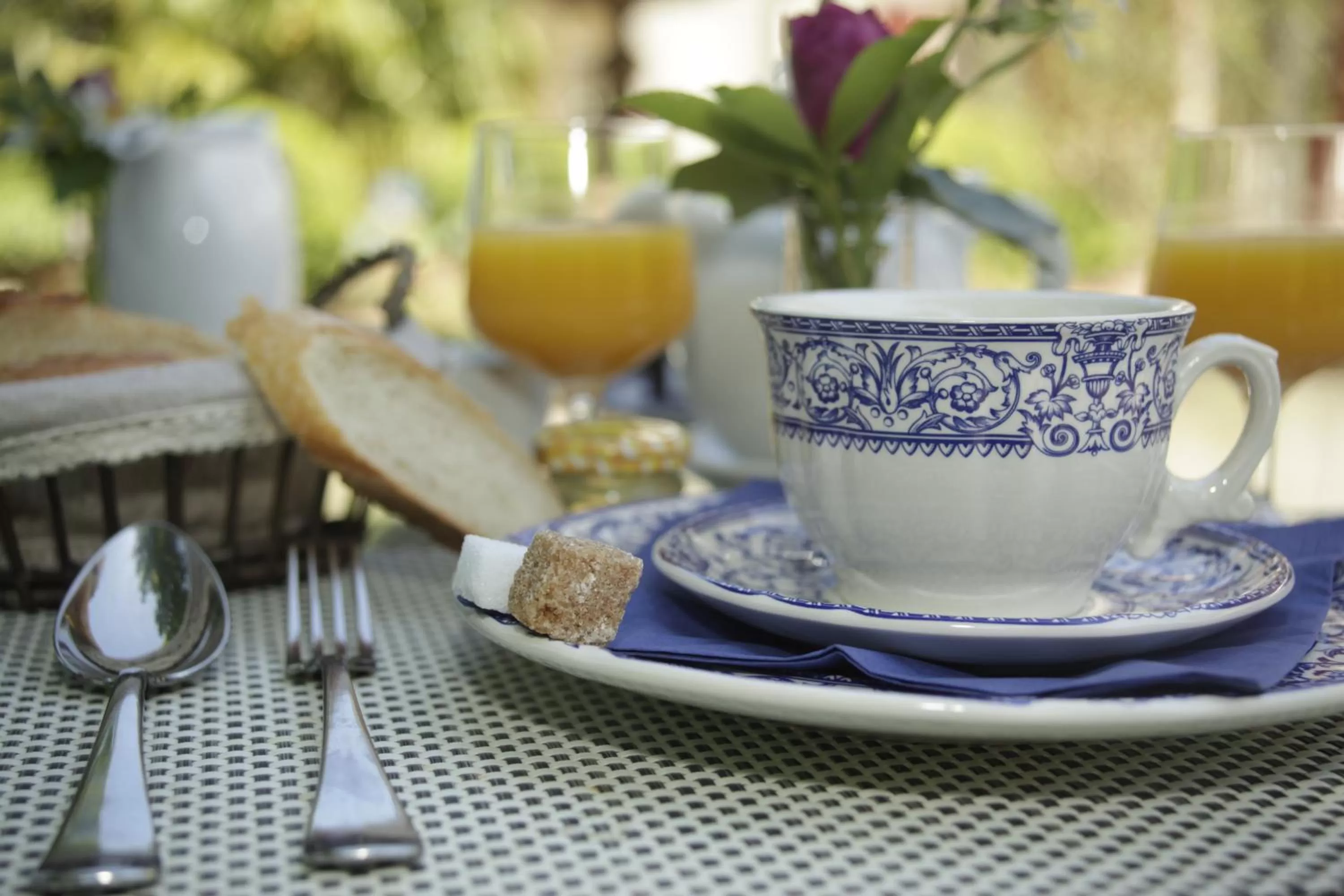 Restaurant/places to eat in Domaine de Rasigous