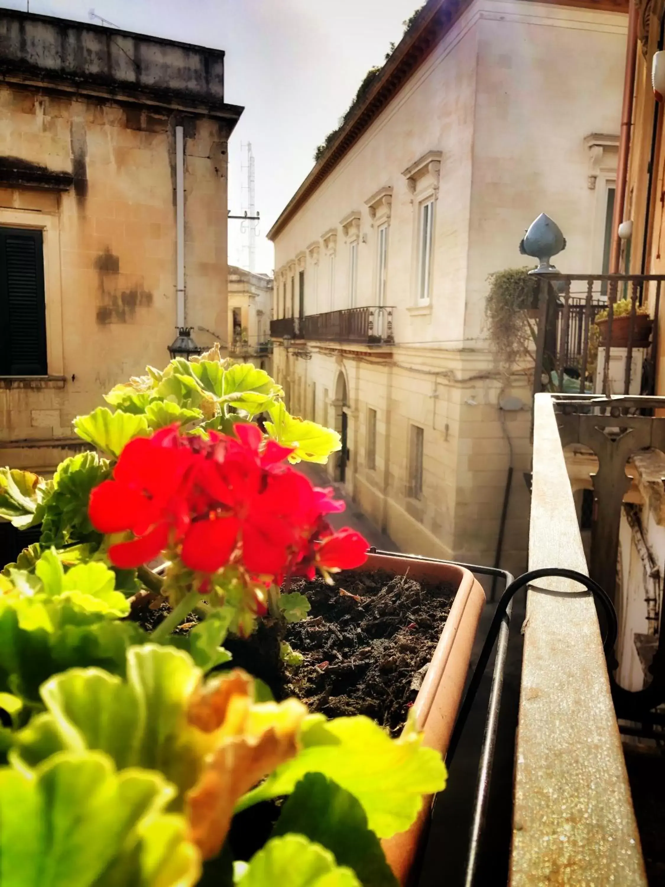 Balcony/Terrace in Palazzo Salìa